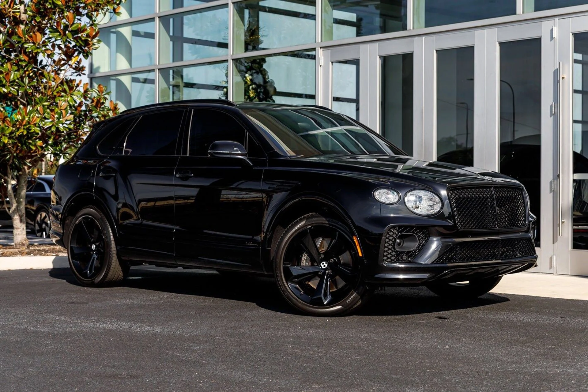 mph027_3109789971_50390f49c12db36771db0a3910b61449x_0db0c73870