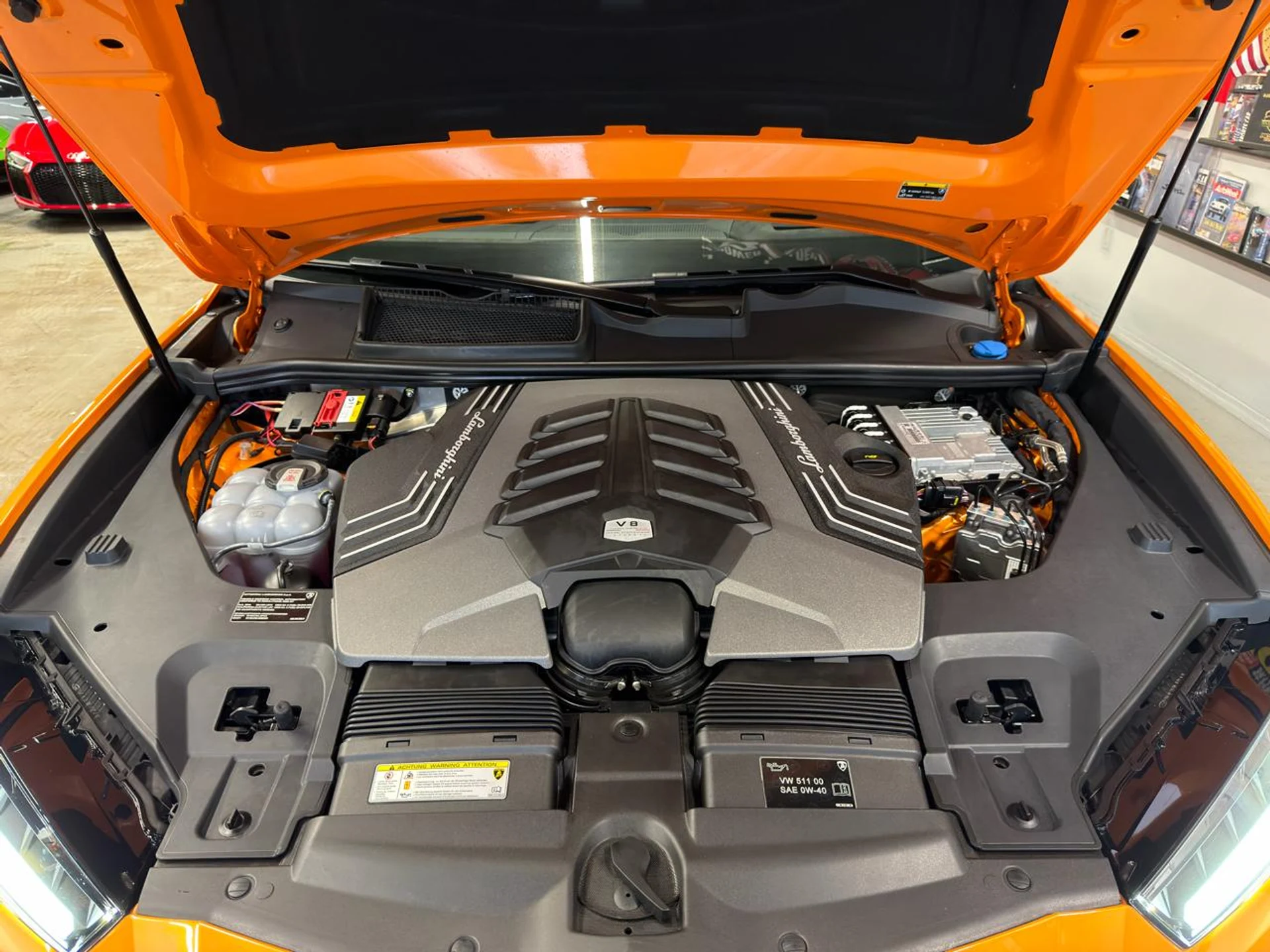 mph027_3276109548_639081513076746751_15ac7e01c9