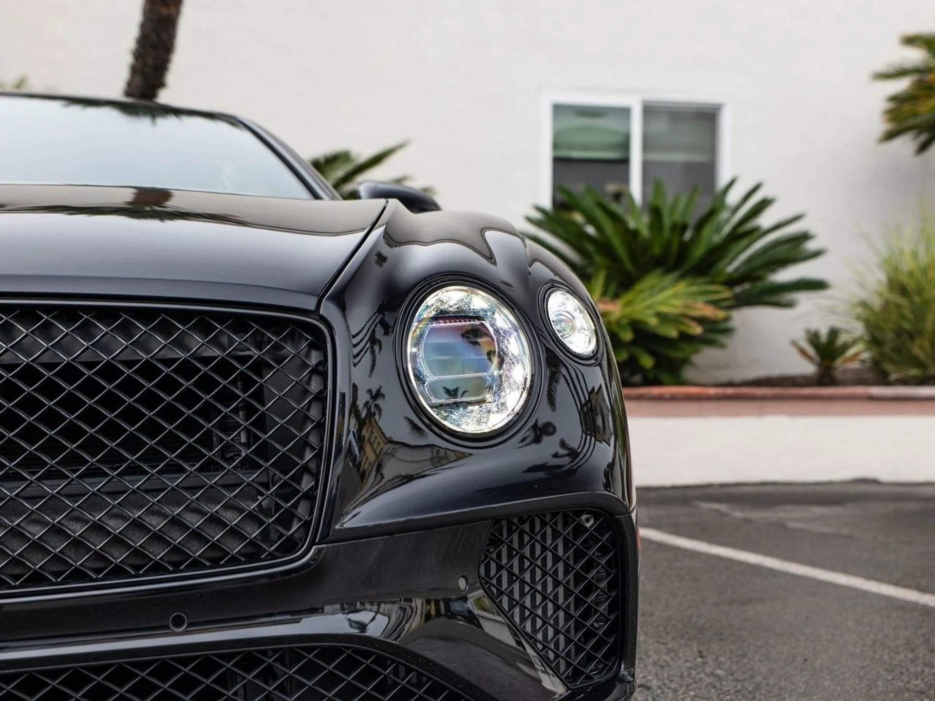 mph027_350383378_edb2ab3e8499e2919984346914fd91a7x_12639be16c