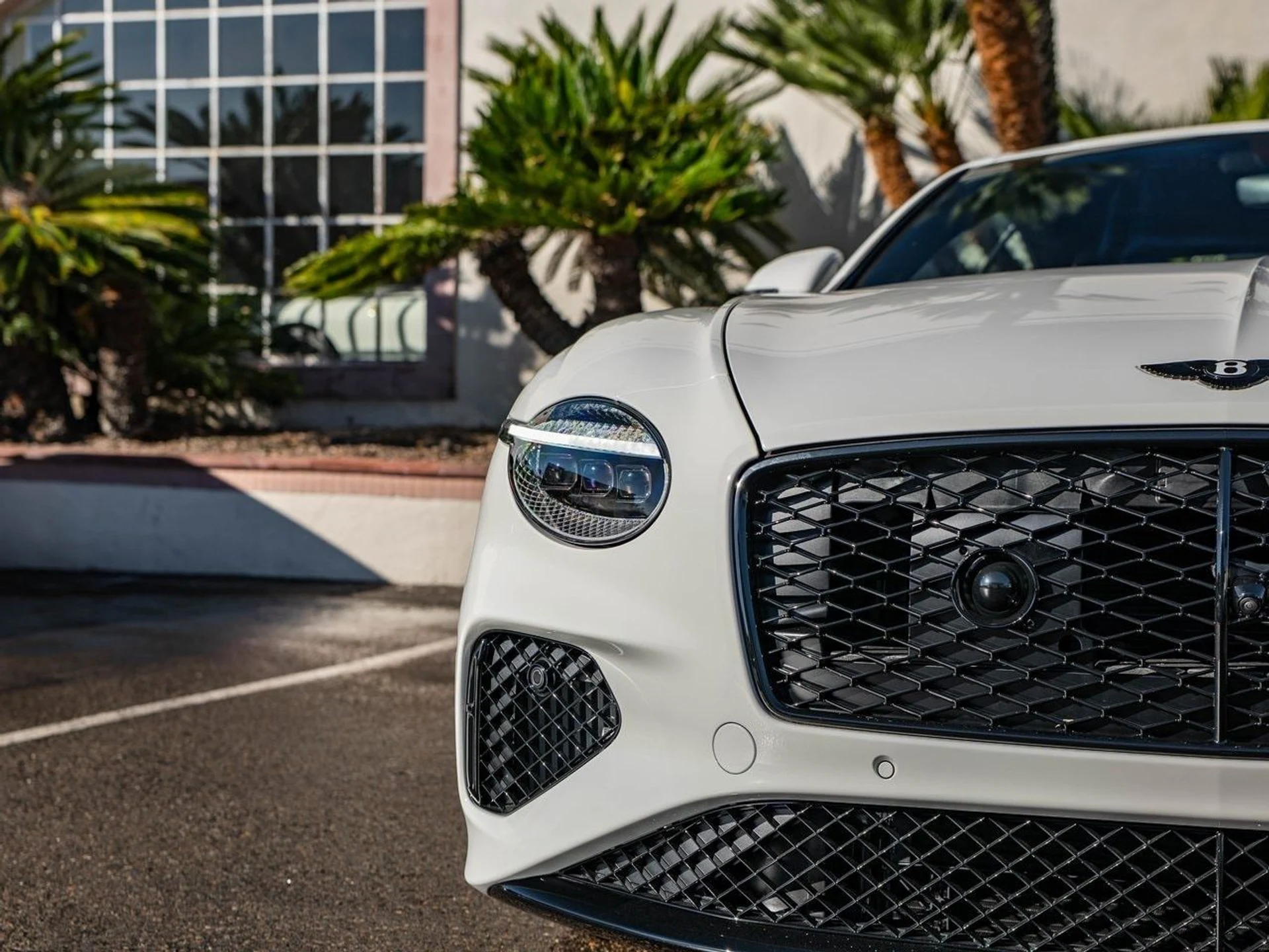 mph027_3571959377_39950083a58e8c4dc5cad93f23fafe5cx_bb3d300ae1