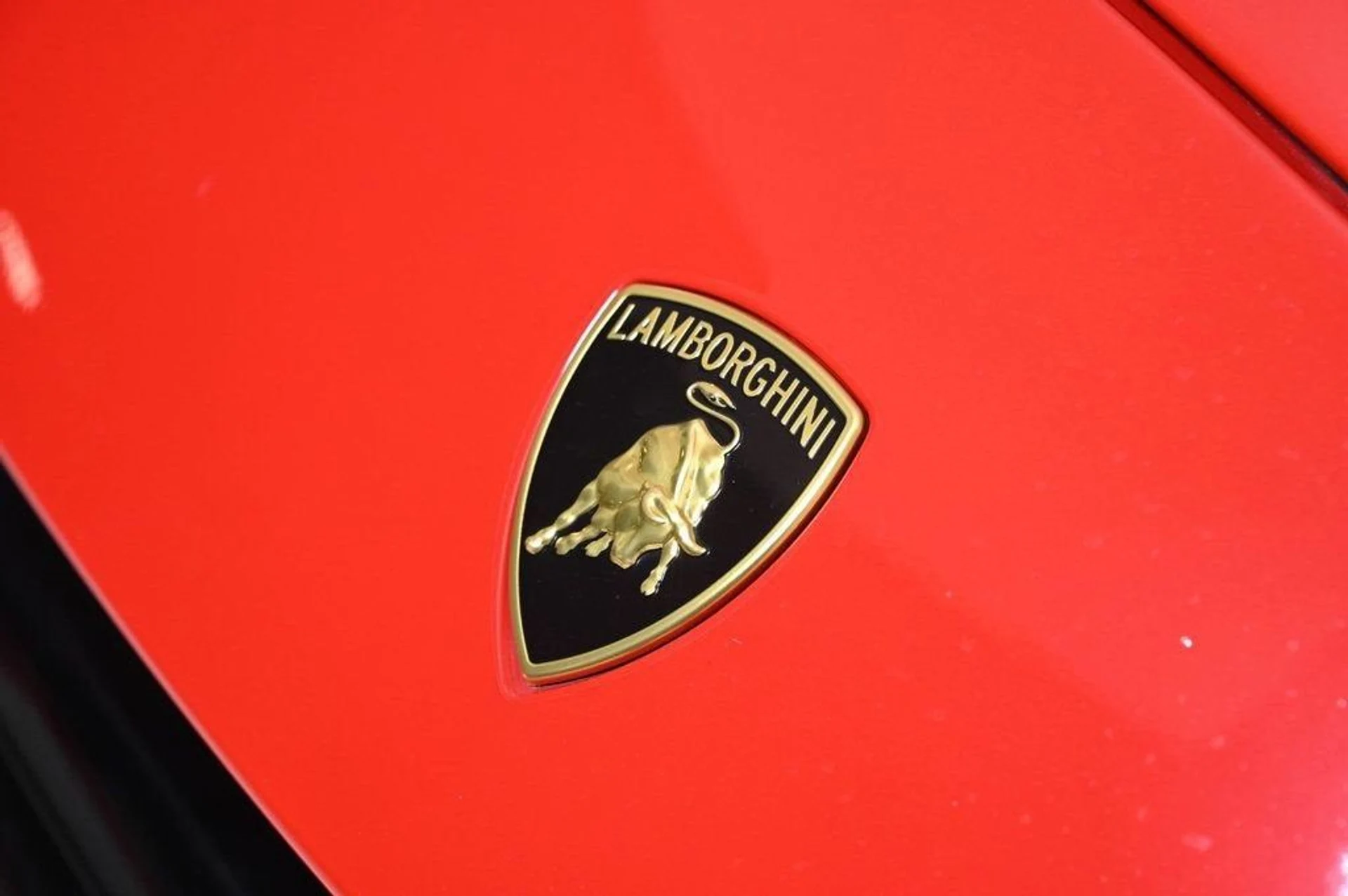 mph027_3930423221_2c8dcc535c6a4eb7958c02ebbbce3943_0a2542436e