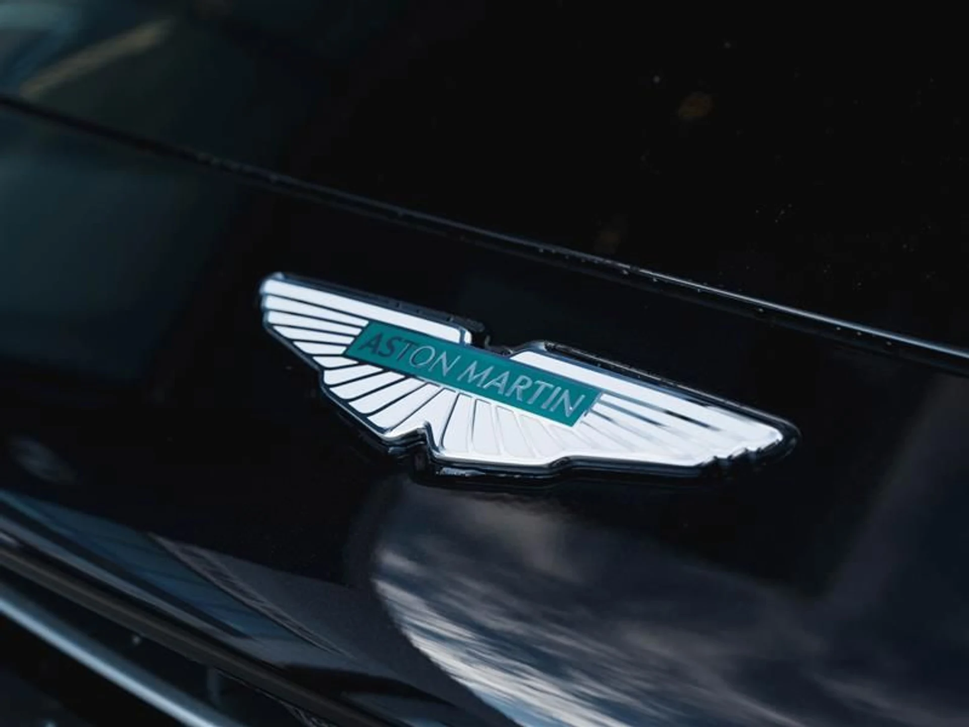 mph027_3933979622_qqbuu3wv_eeec3d6c1b