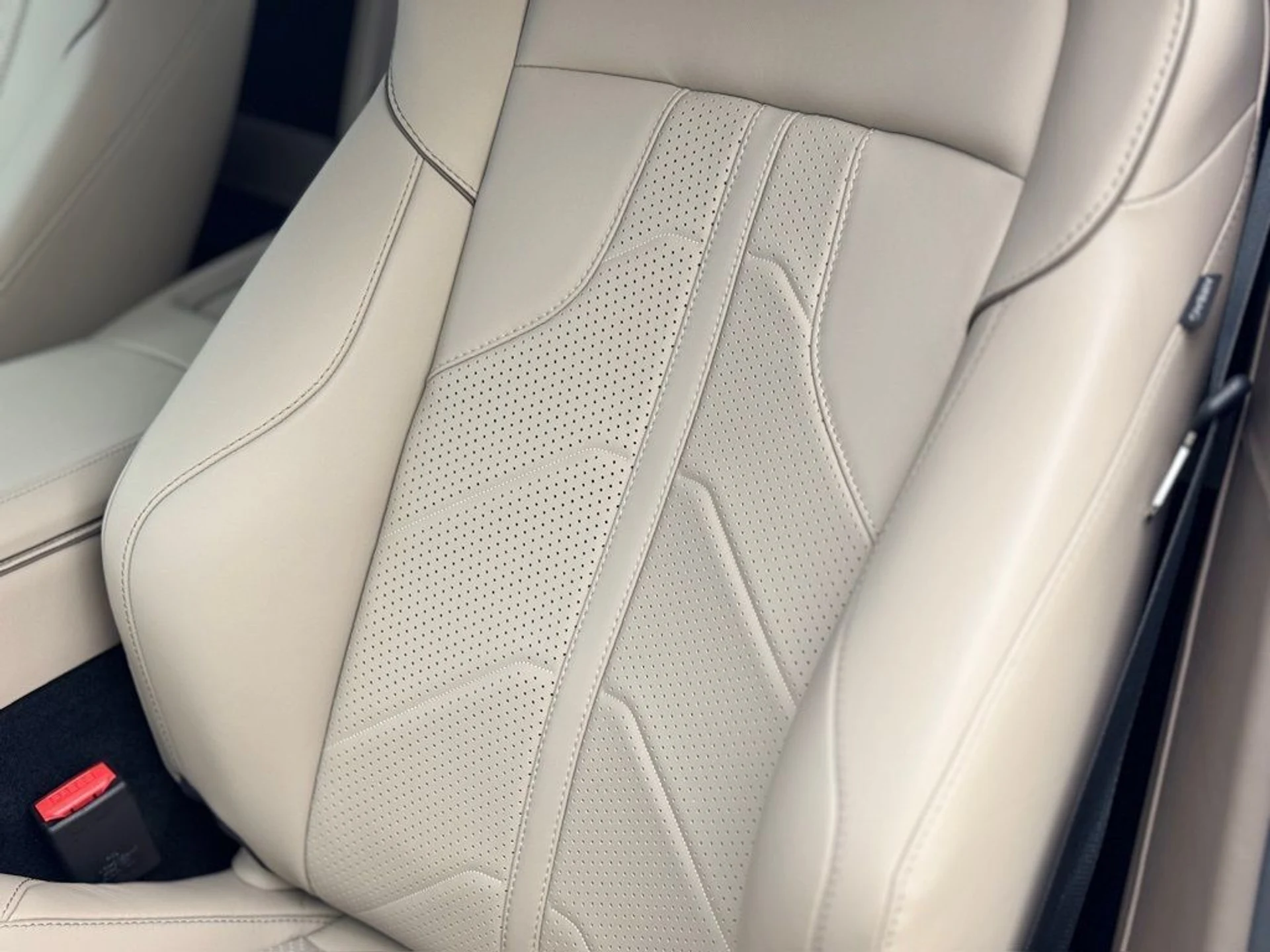 mph027_3934423277_q5mxe4ymx0uhl6veqsd6dkreznfh_9eec0793d2