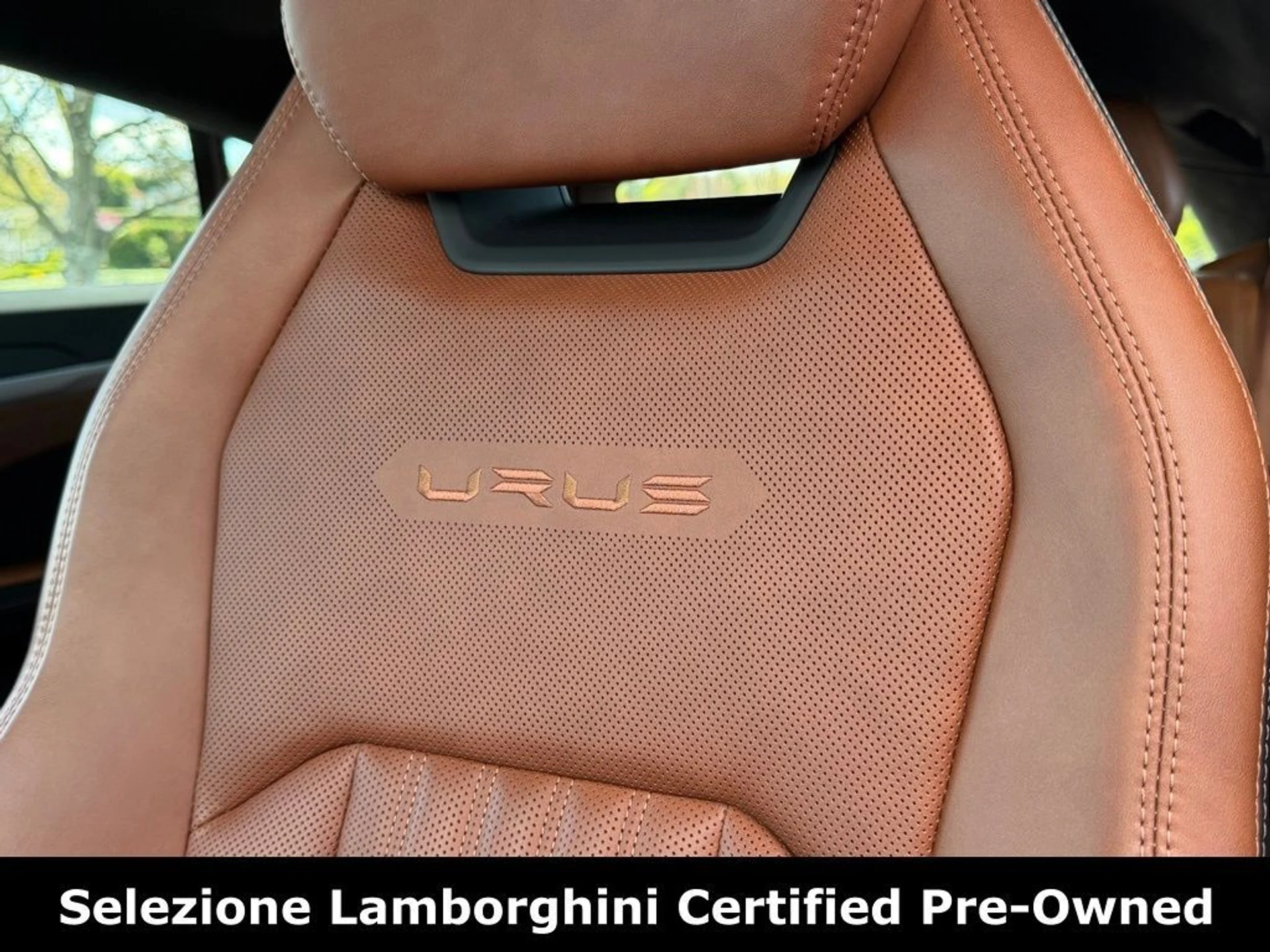 mph027_3936183887_ab291e846577206a09109943eea86d78x_e72baad427