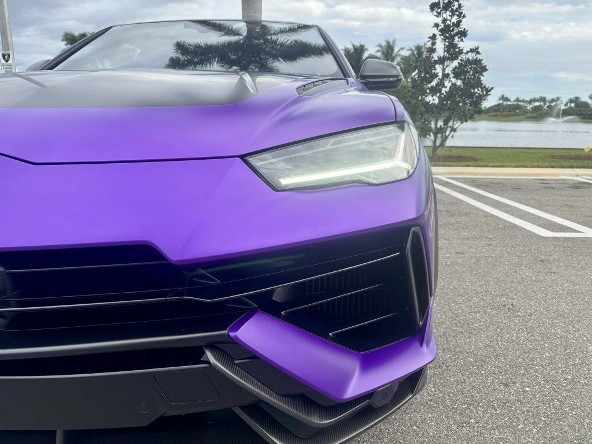 mph027_4191515309_c95caae834e4776ba49aa179110ef61a_1def79982b