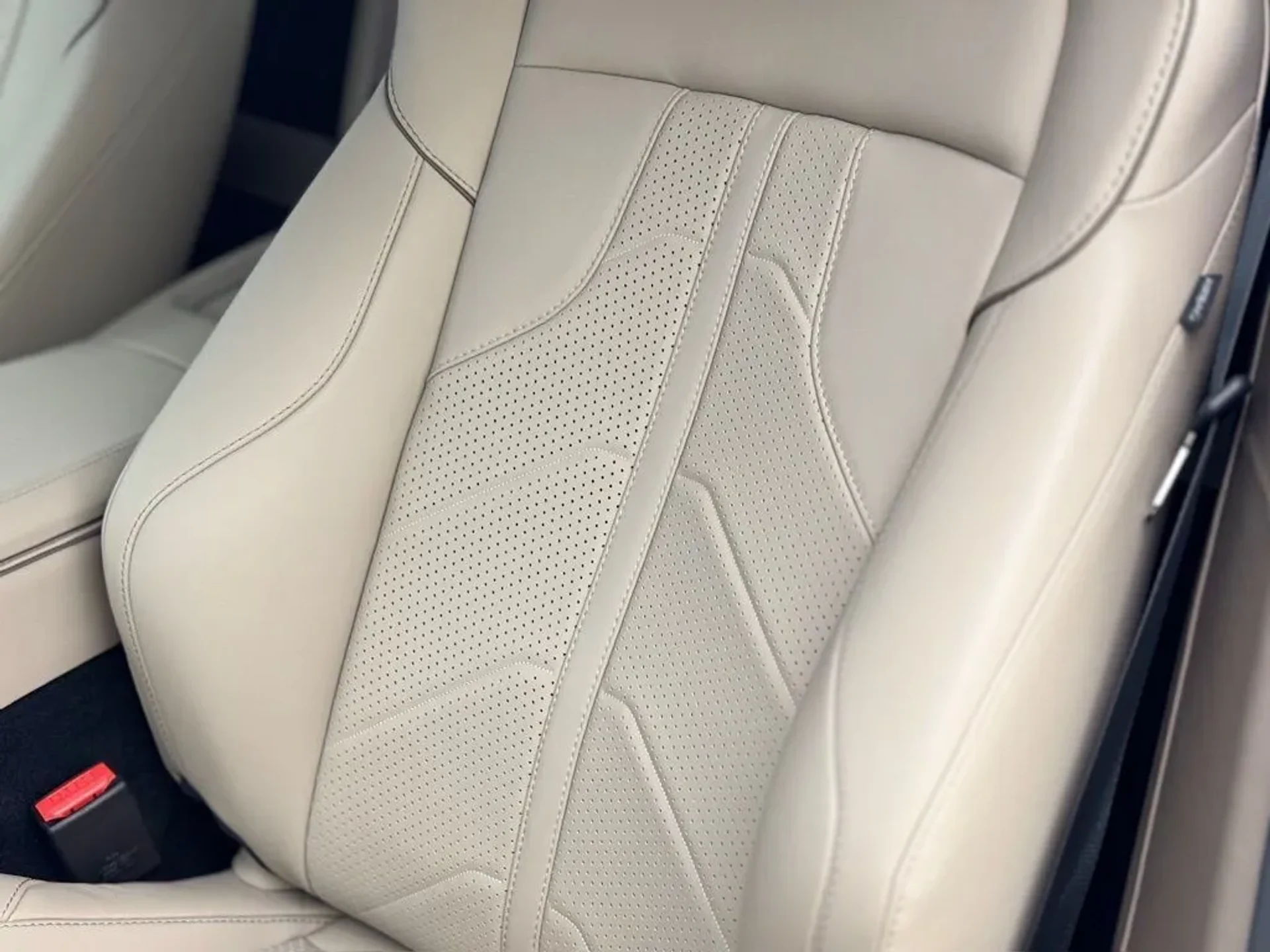 mph027_512694451_c5rs9wowbql0mn34nabyokmpuobr_f98b099561