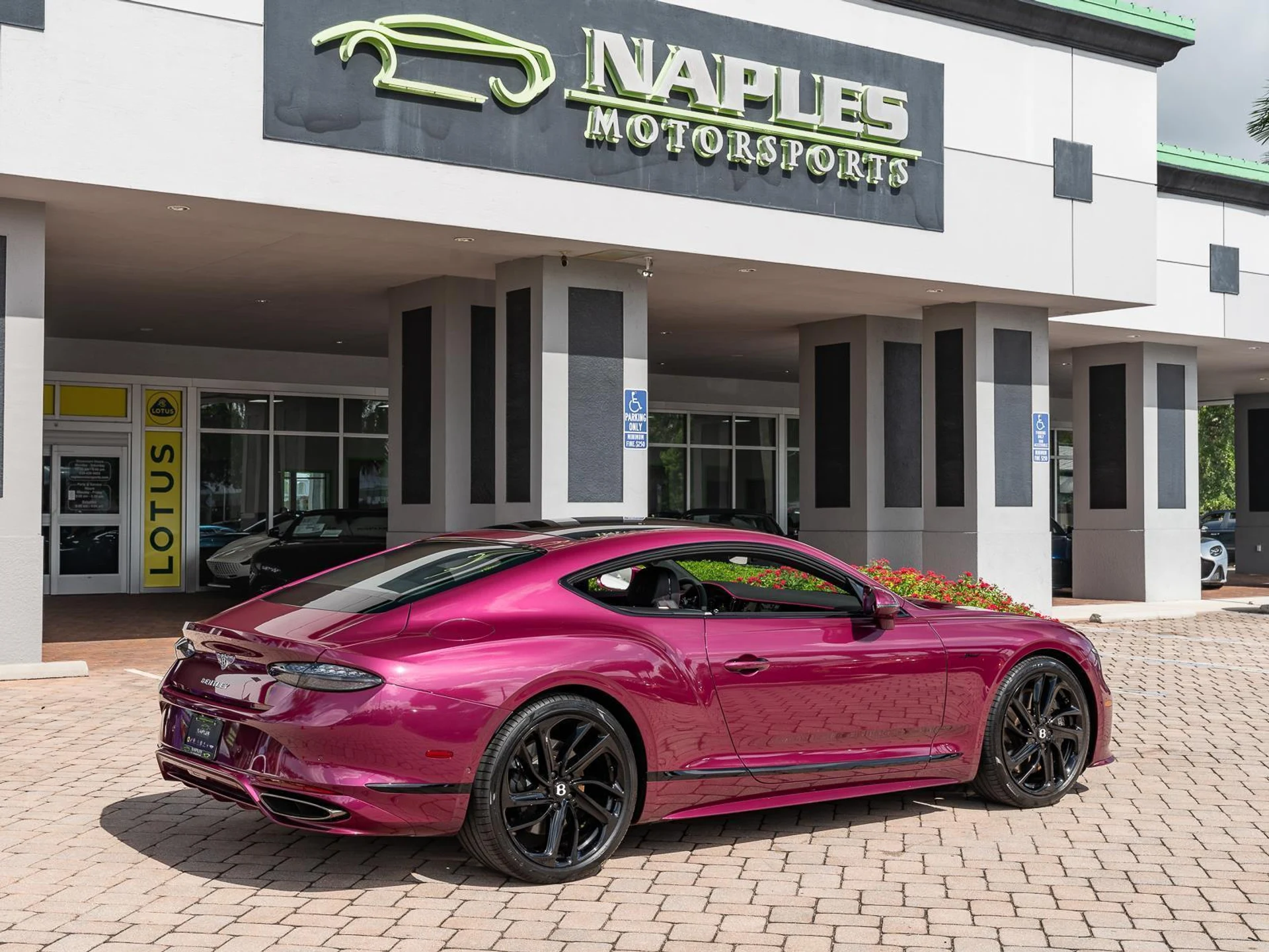 mph027_87339195_Used_2025_Bentley_Continental_GT_Speed_1779912159_b7352893b8