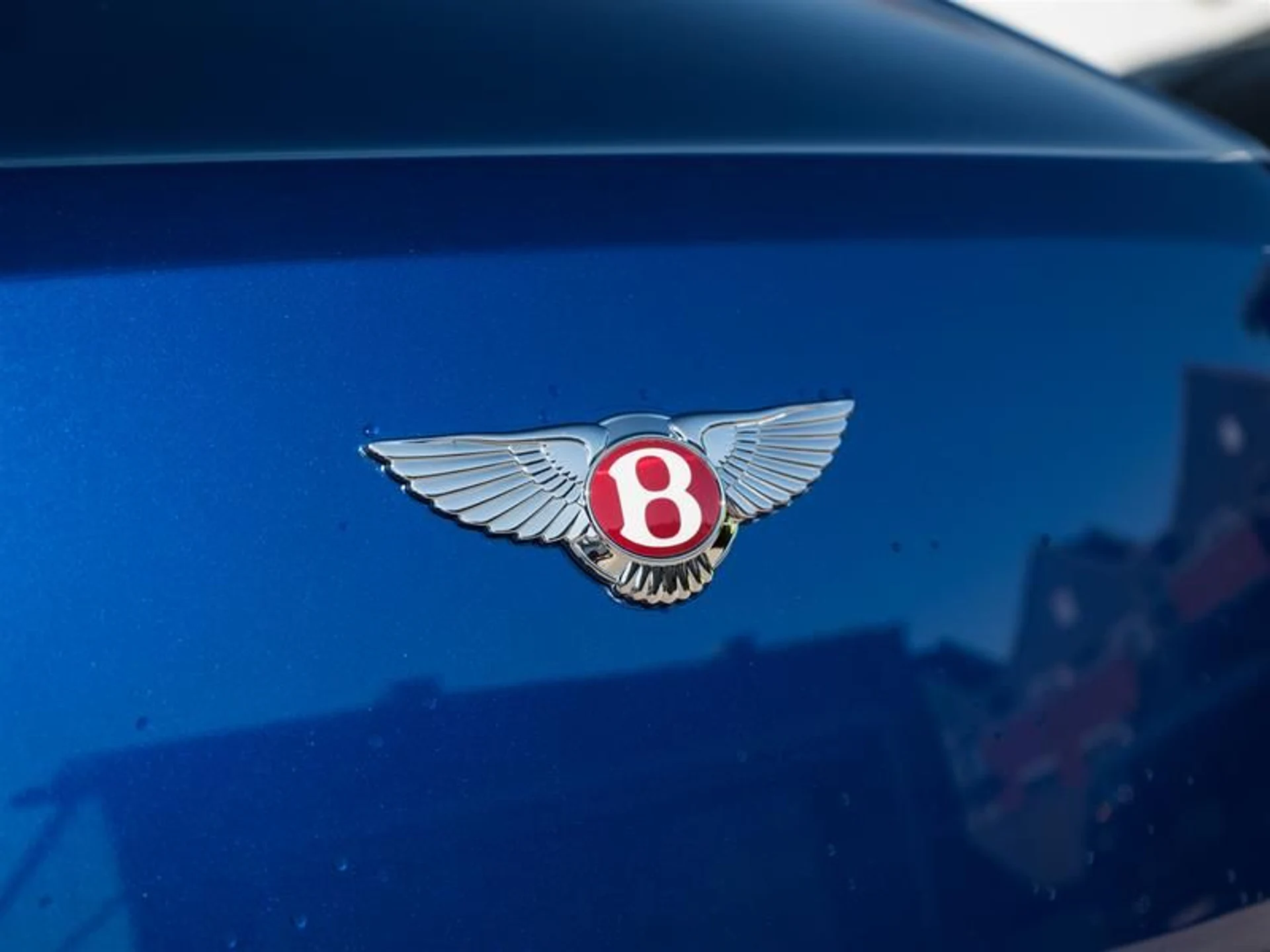 mph028_1018874830_jelf4qnq_12df6179e0