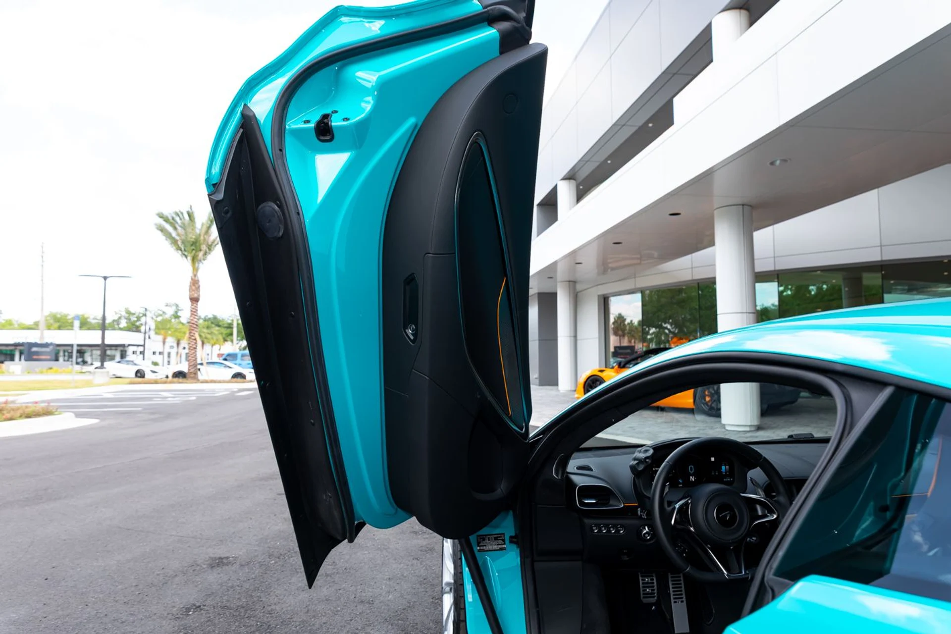 mph028_1132692405_506_p29_l_d6d0278b6e