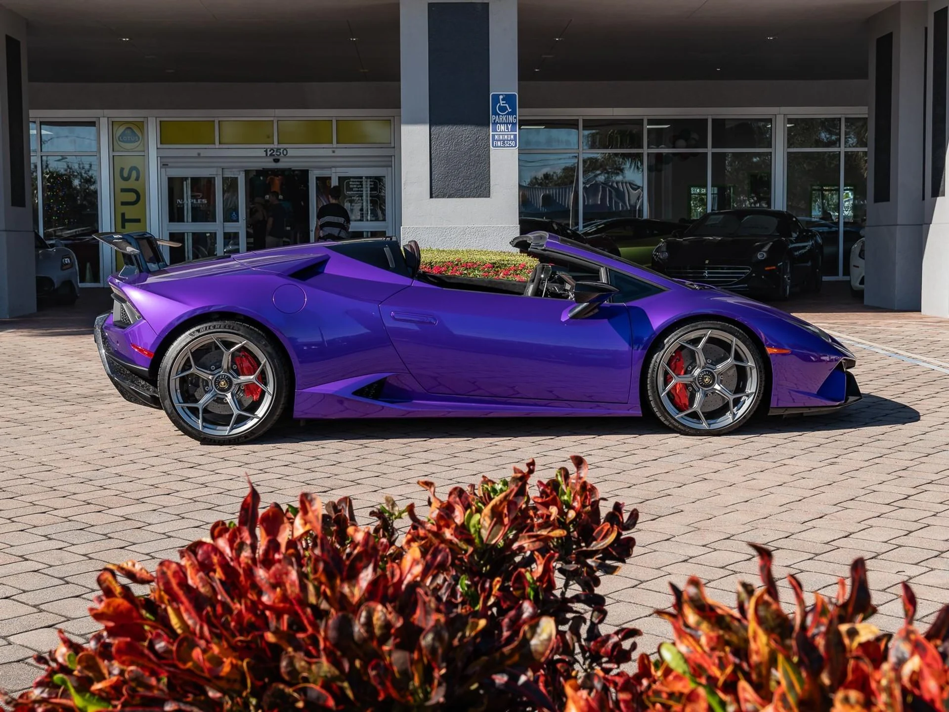 mph028_1263335485_Used_2019_Lamborghini_Huracan_Performante_1766430429_164e13ad04