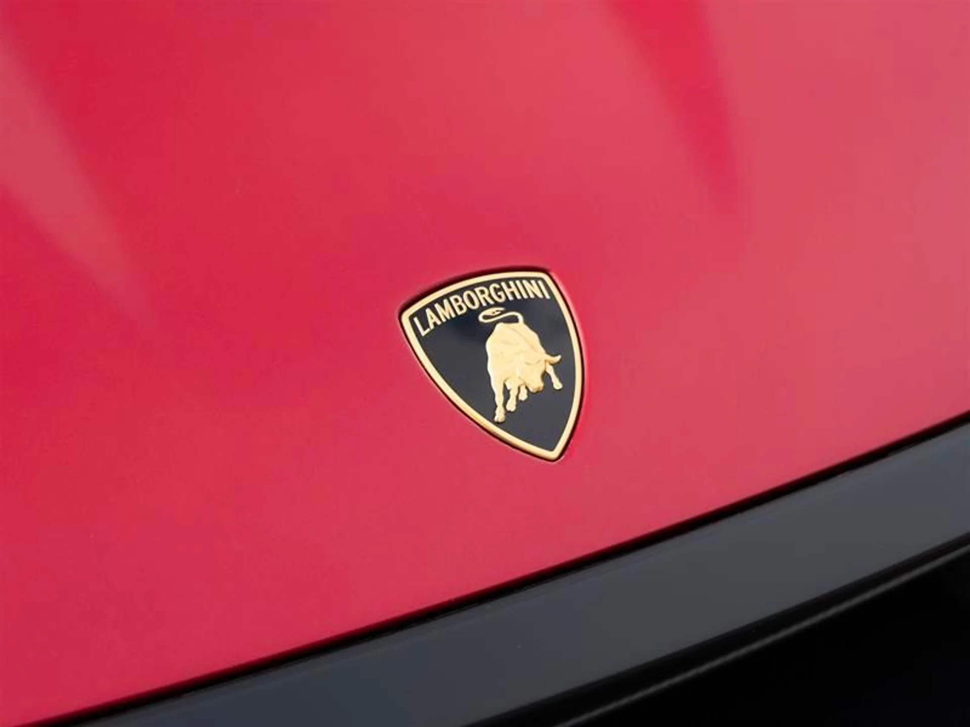 mph028_1420489745_pozqa5ko_6e9fa19c63