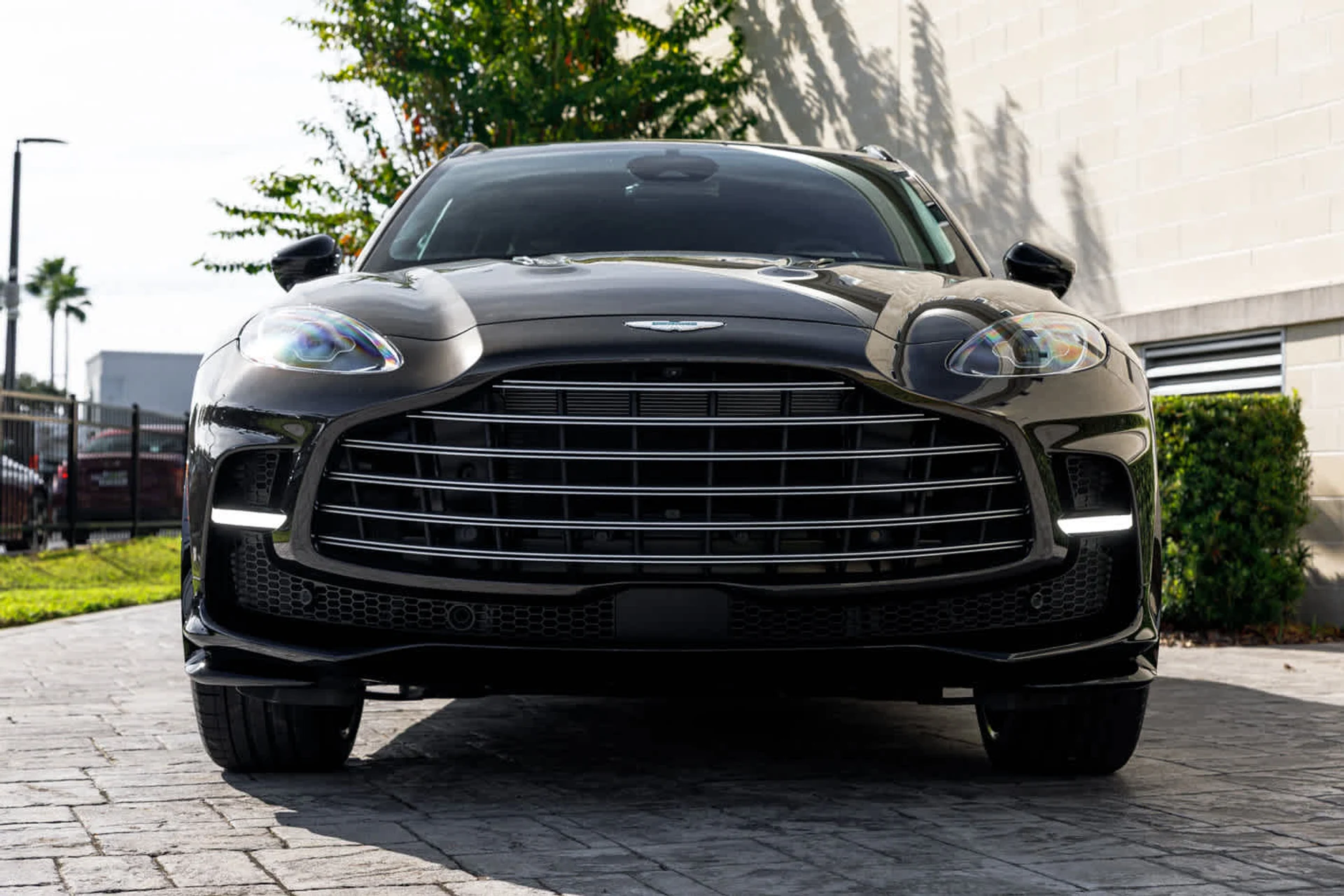 mph028_142473047_29_337e0c85db