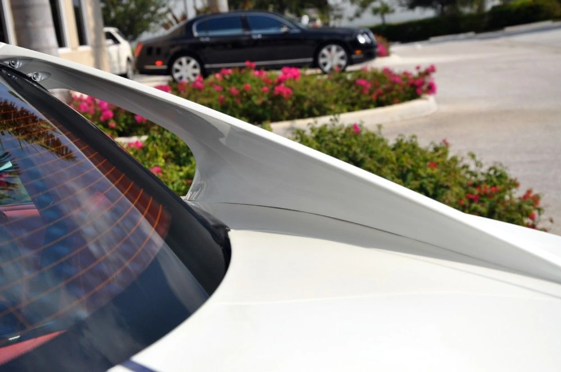 mph028_1425375562_81_p29_l_76a626ea1b