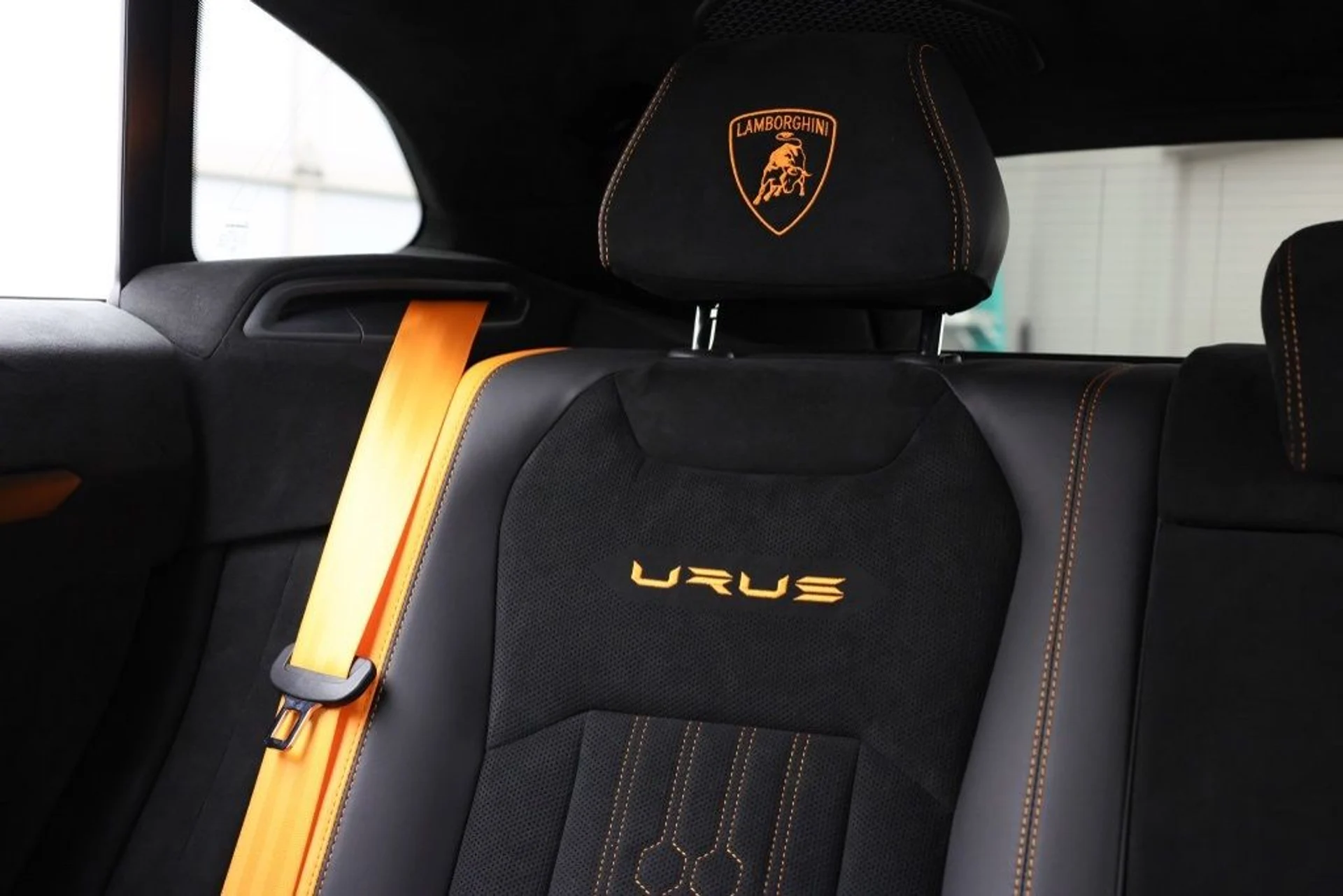 mph028_1770041229_6lcxv30tvbjurzga7xhz8zs7dm7a_438f7d4f31