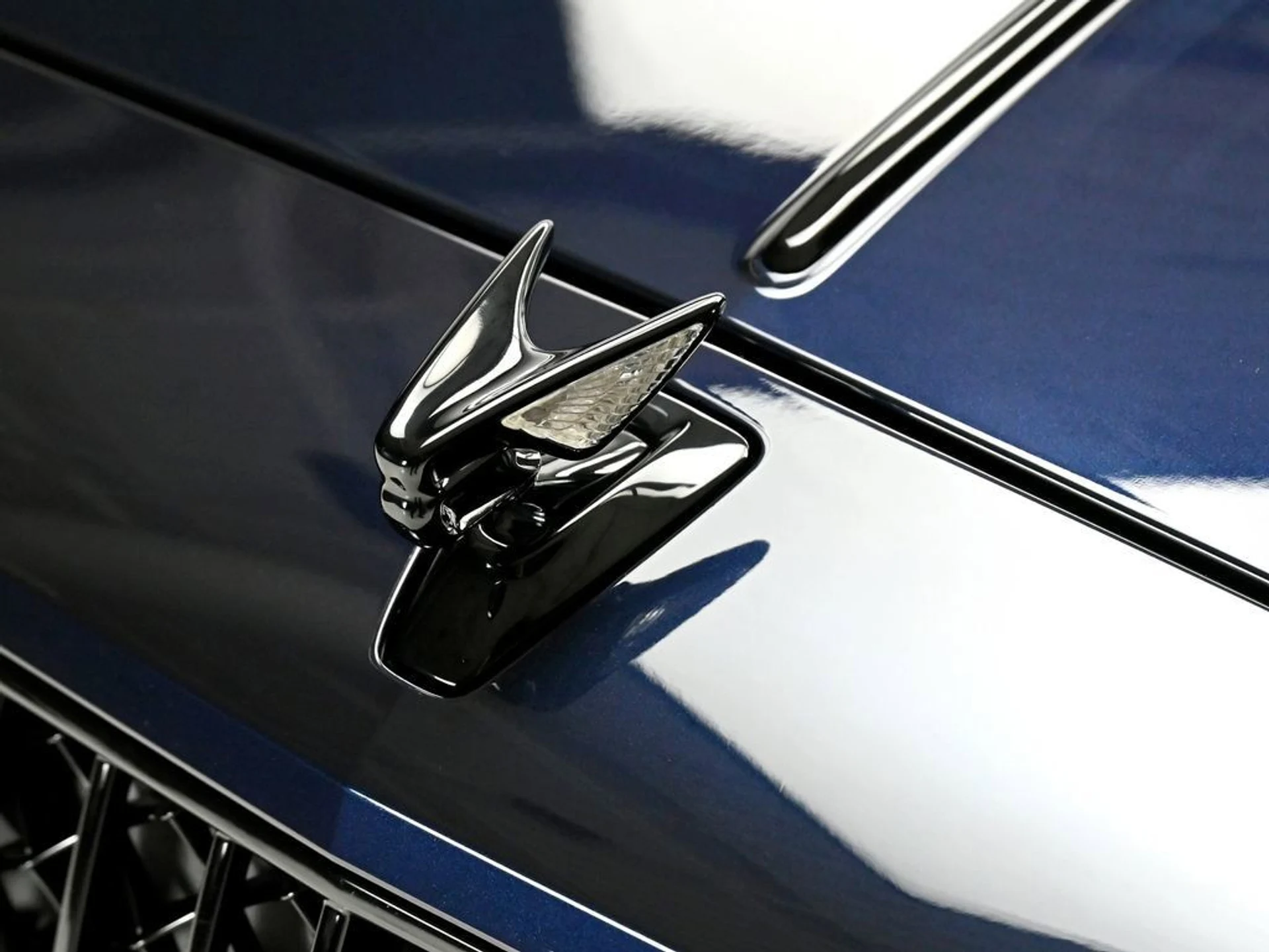 mph028_1902173383_c1e05fcd95f442ccb218d4d8cd0ef813_9b36d5732f