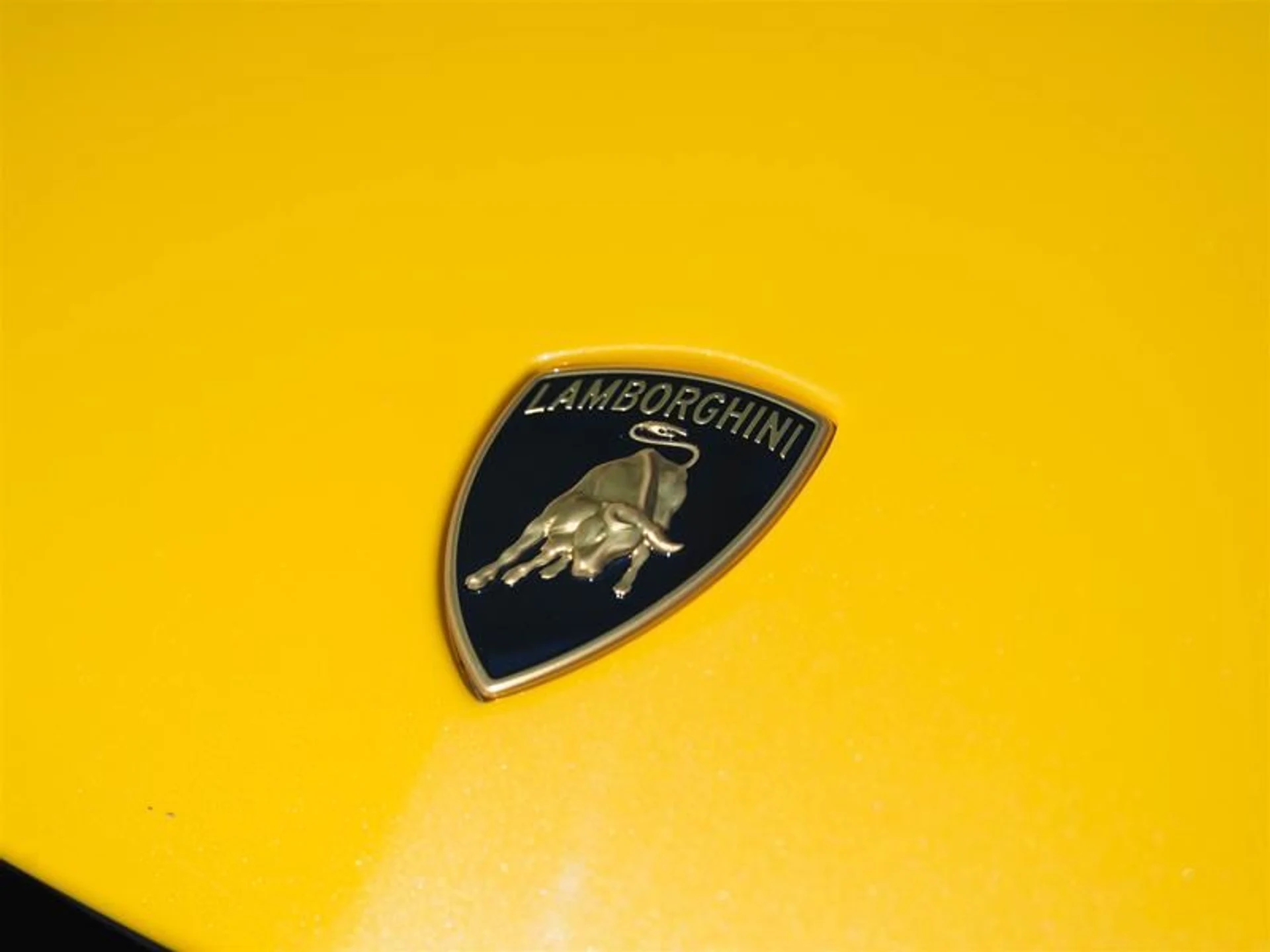 mph028_2019883061_ts3iumvm_29e76521dd