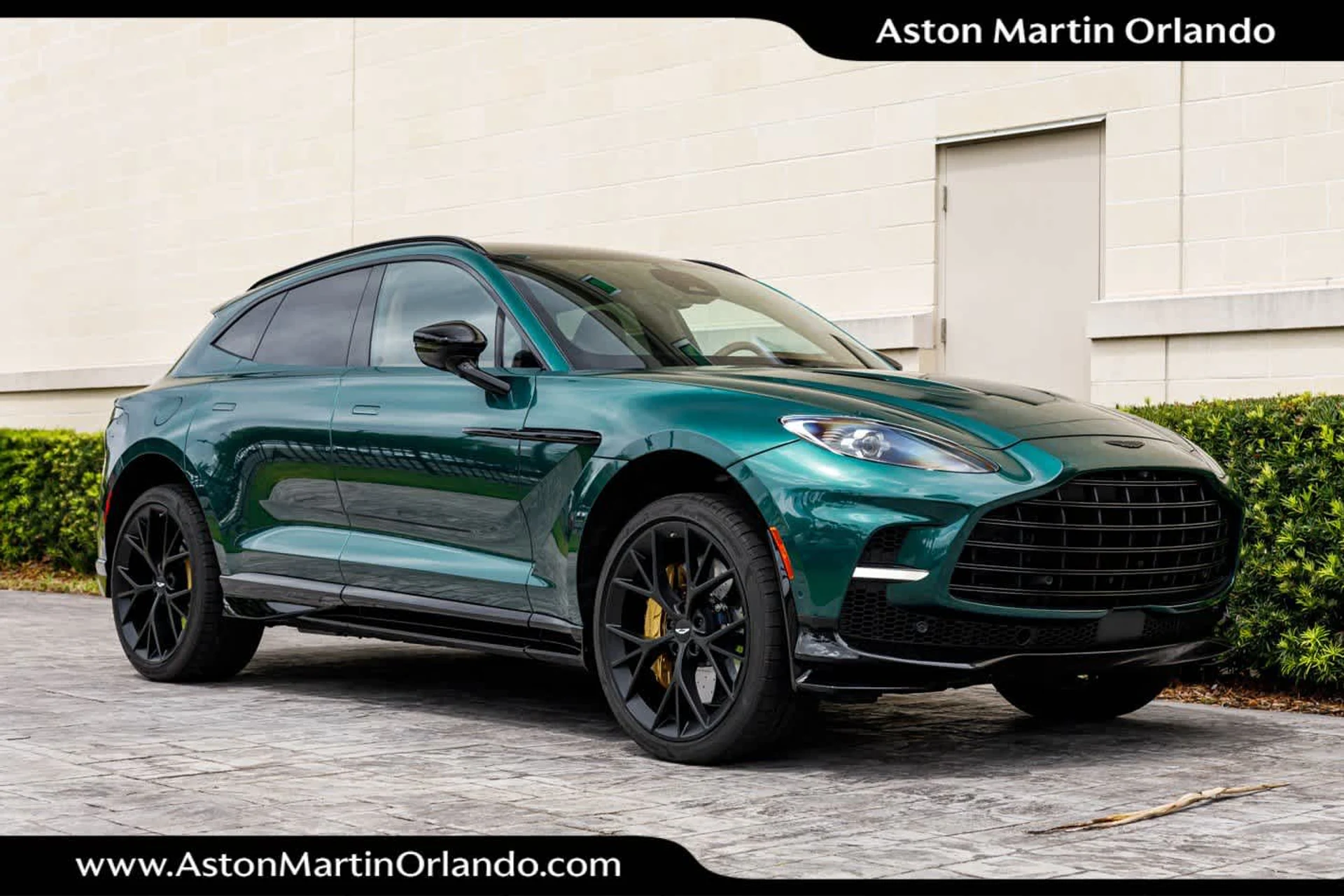 mph028_2106229190_29_05a4e66d99