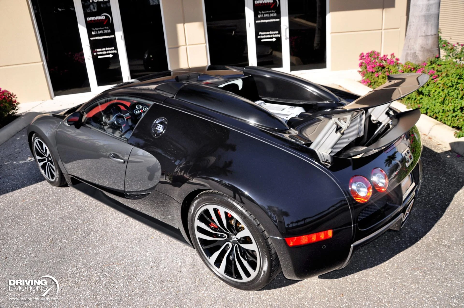 mph028_2155503037_479_p29_l_4fae579e8f