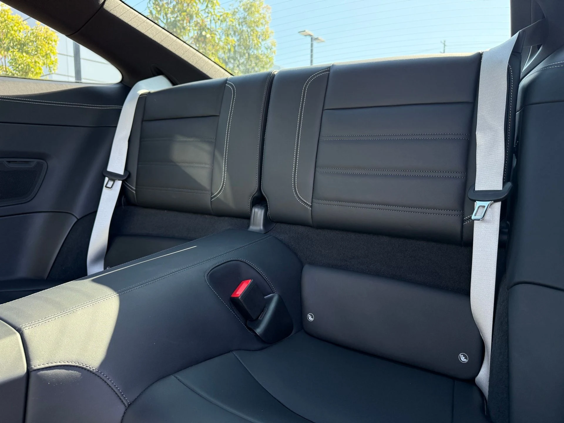 mph028_2196943923_264e38ebeaec1be27deba3a743f80573_ca1f9601a4