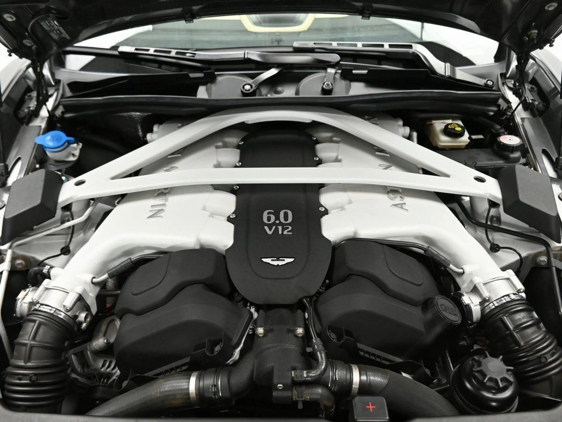 mph028_2264974728_72c0669ef74816dd246eaa752a80982e_058aef68c4