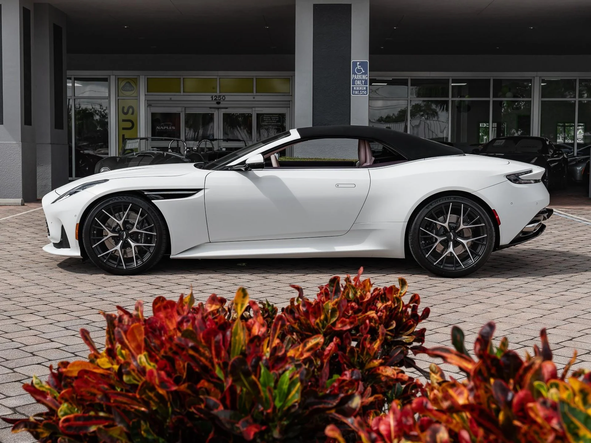 mph028_2348567127_Used_2025_Aston_Martin_DB_12_1761167148_d0123a751b