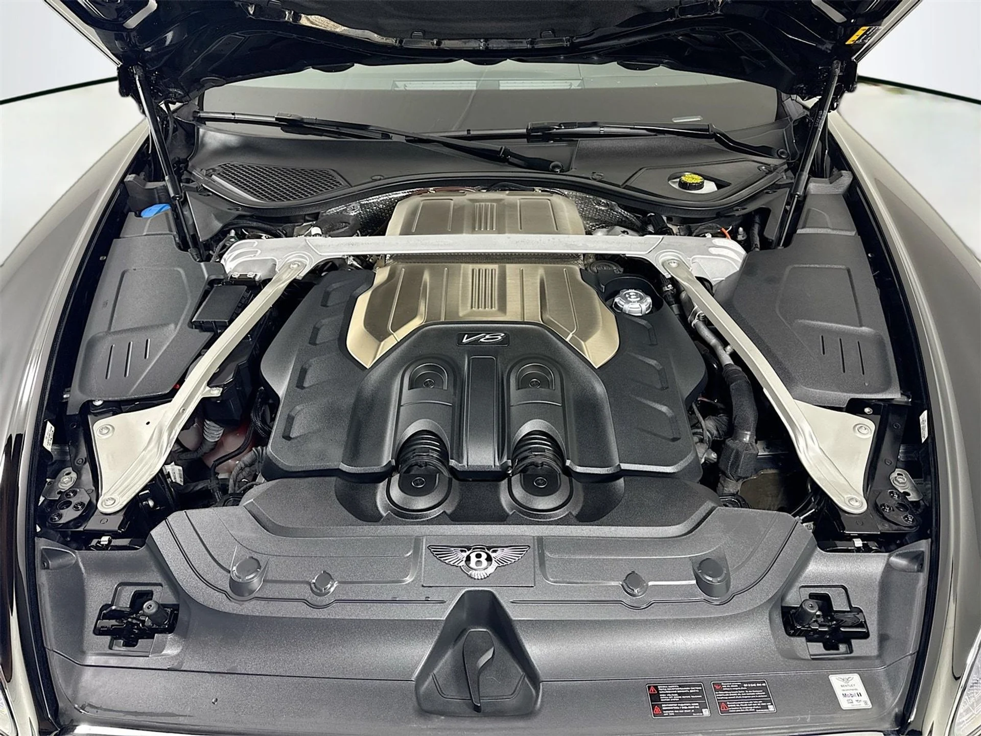 mph028_2419450306_1130786c6b77b4eb801f3b423b470963x_d6eeedb09b