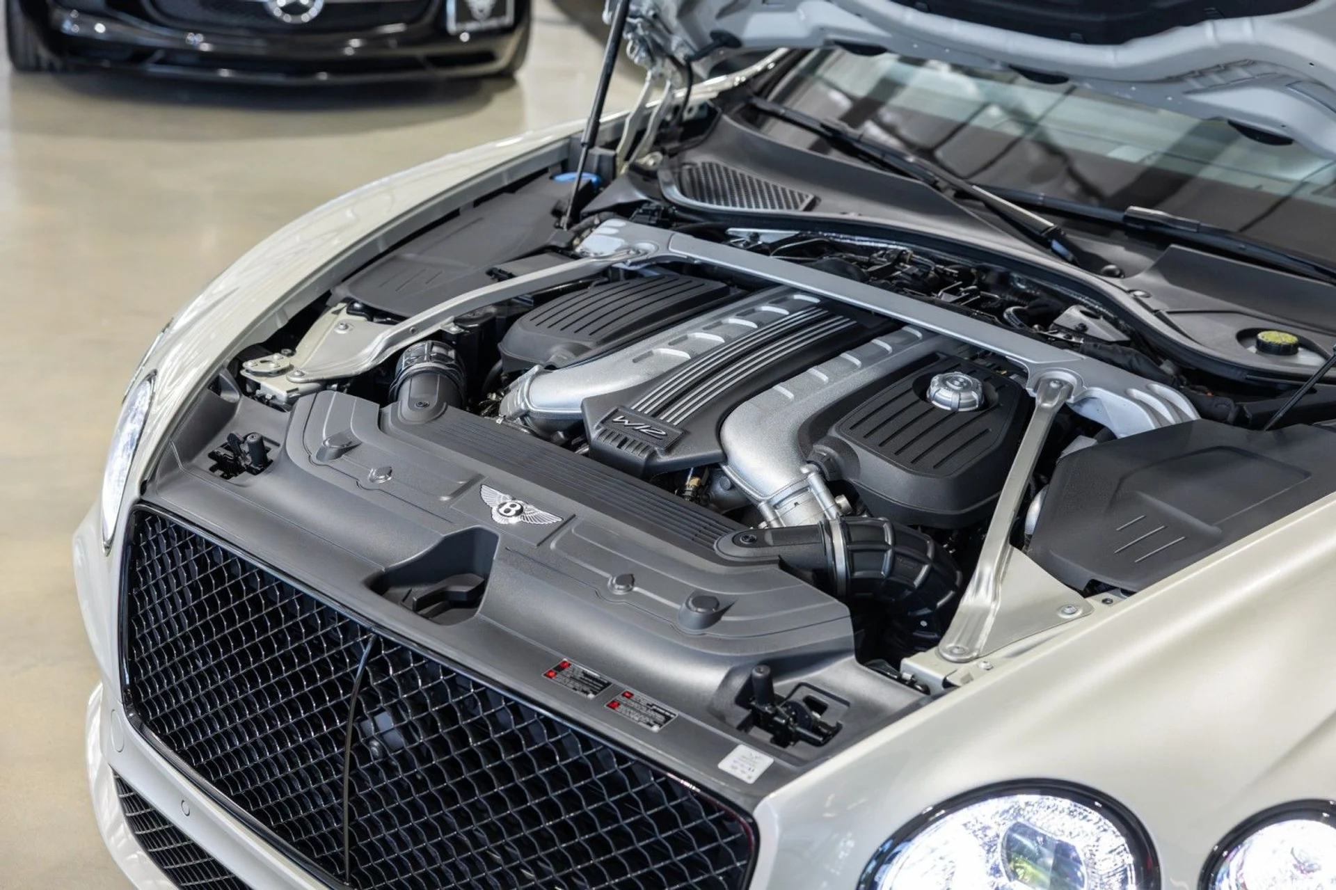 mph028_2444693206_7g_7e5eec0c80