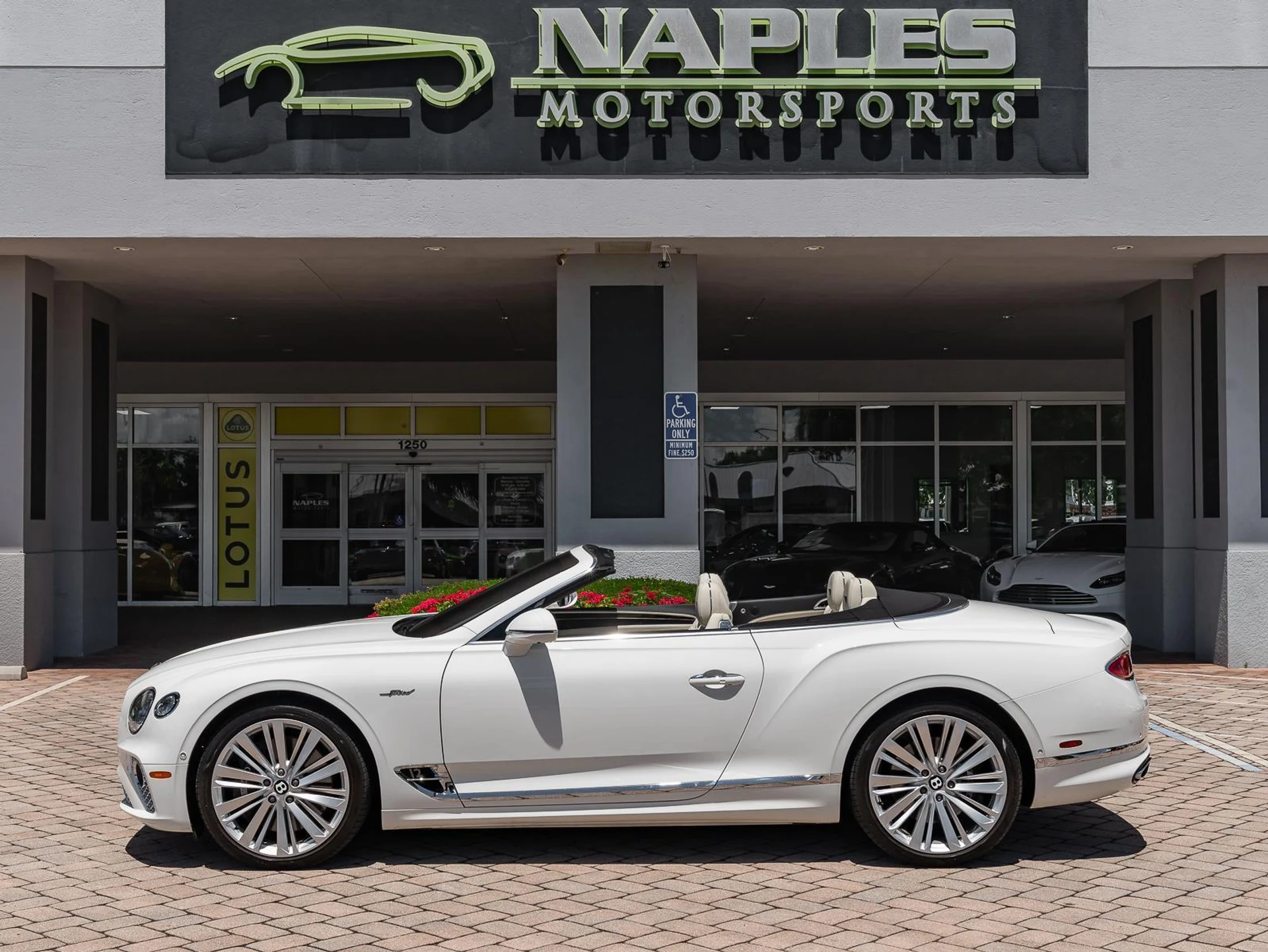 mph028_2586952505_Used_2022_Bentley_Continental_GT_Speed_1780952652_19edf3f8d0