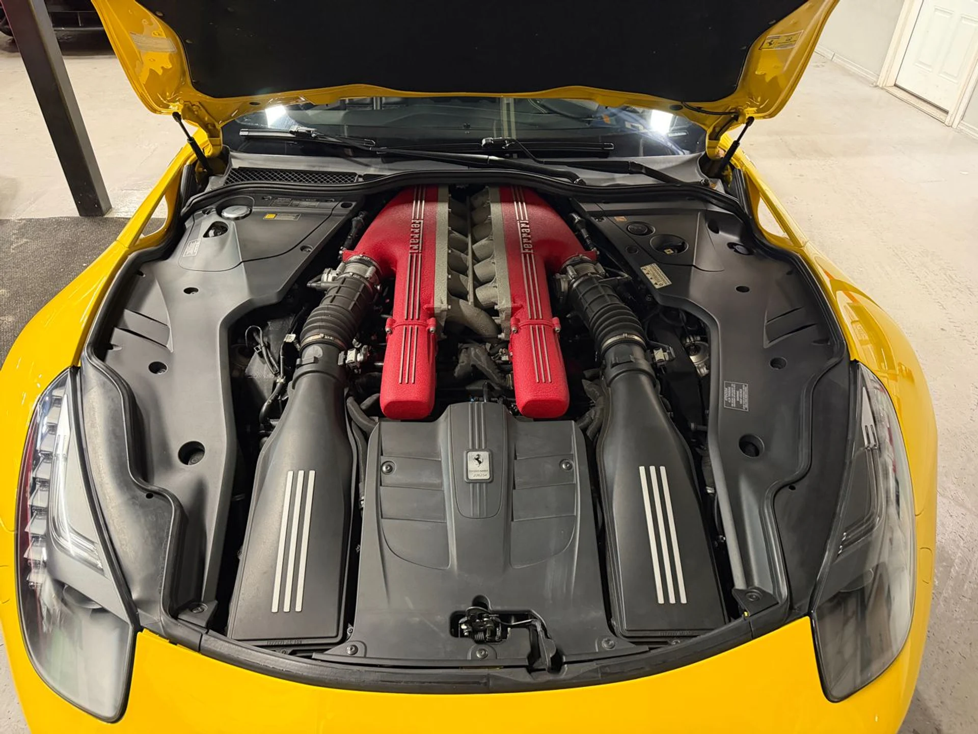 mph028_2637714182_639056539867293487_1afed09a10