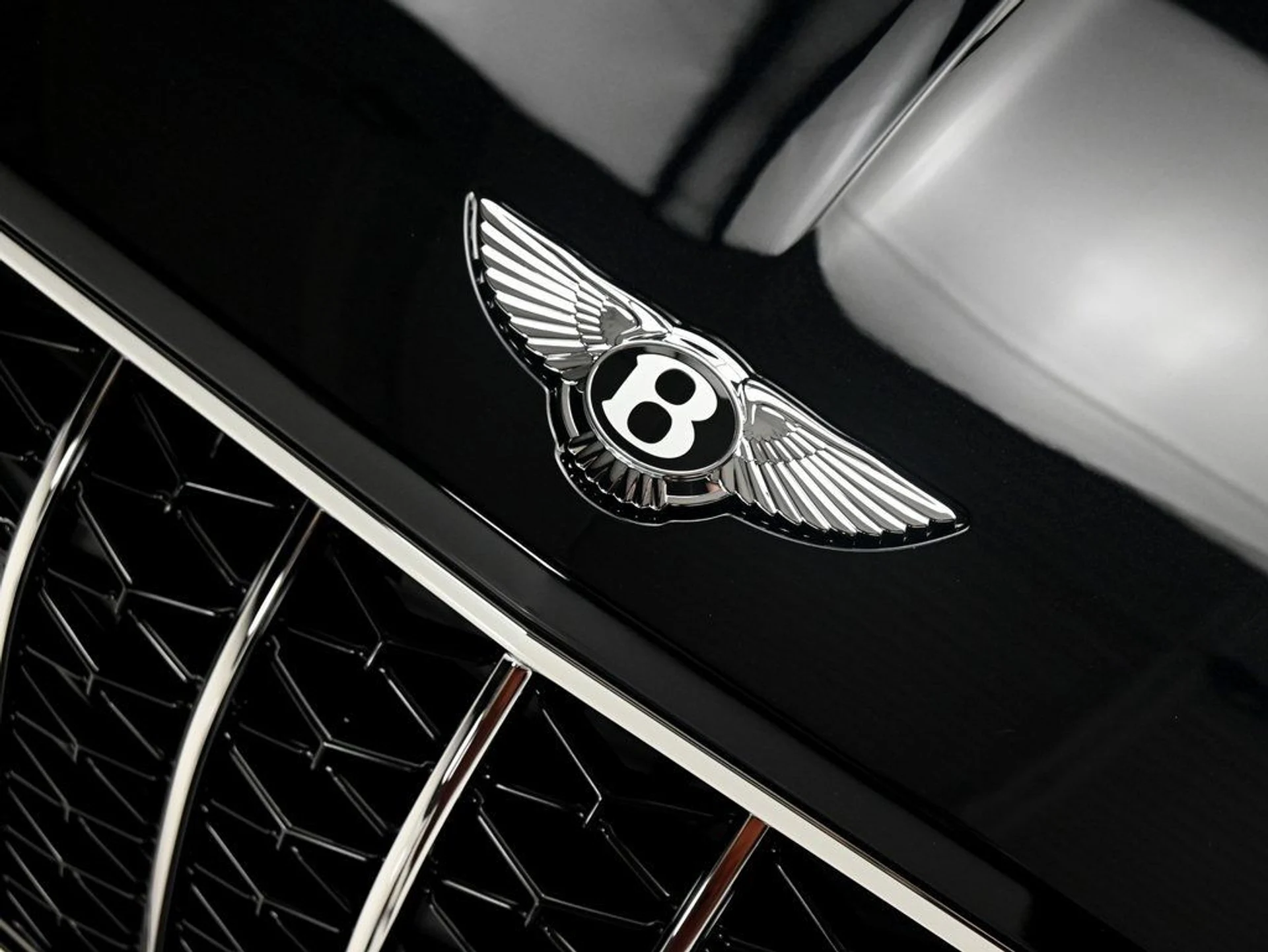 mph028_2652249900_9f9b73dffaf762b8fb897f6667de23df_739b8c56d6