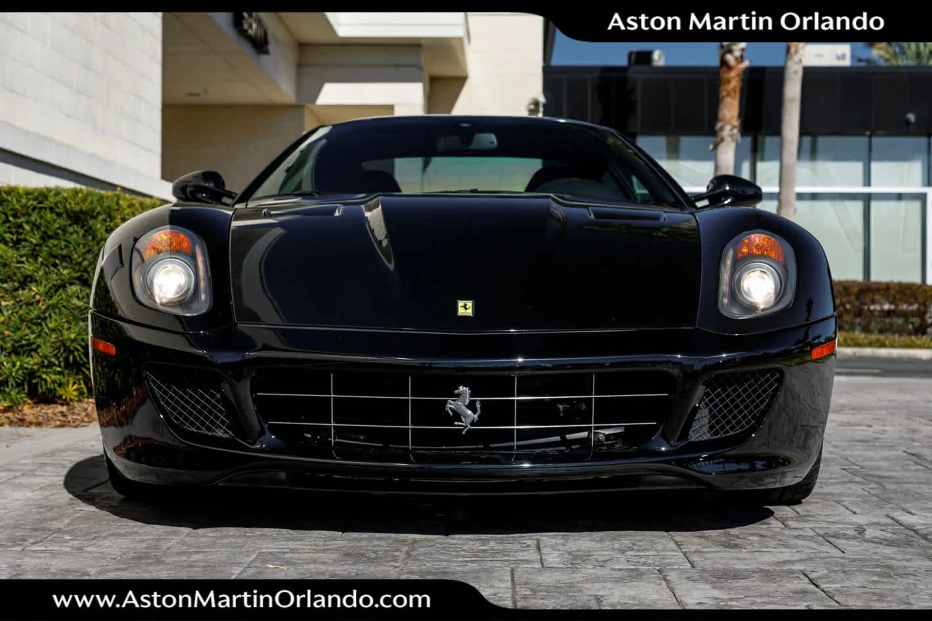 mph028_266013654_29_62c527c77f