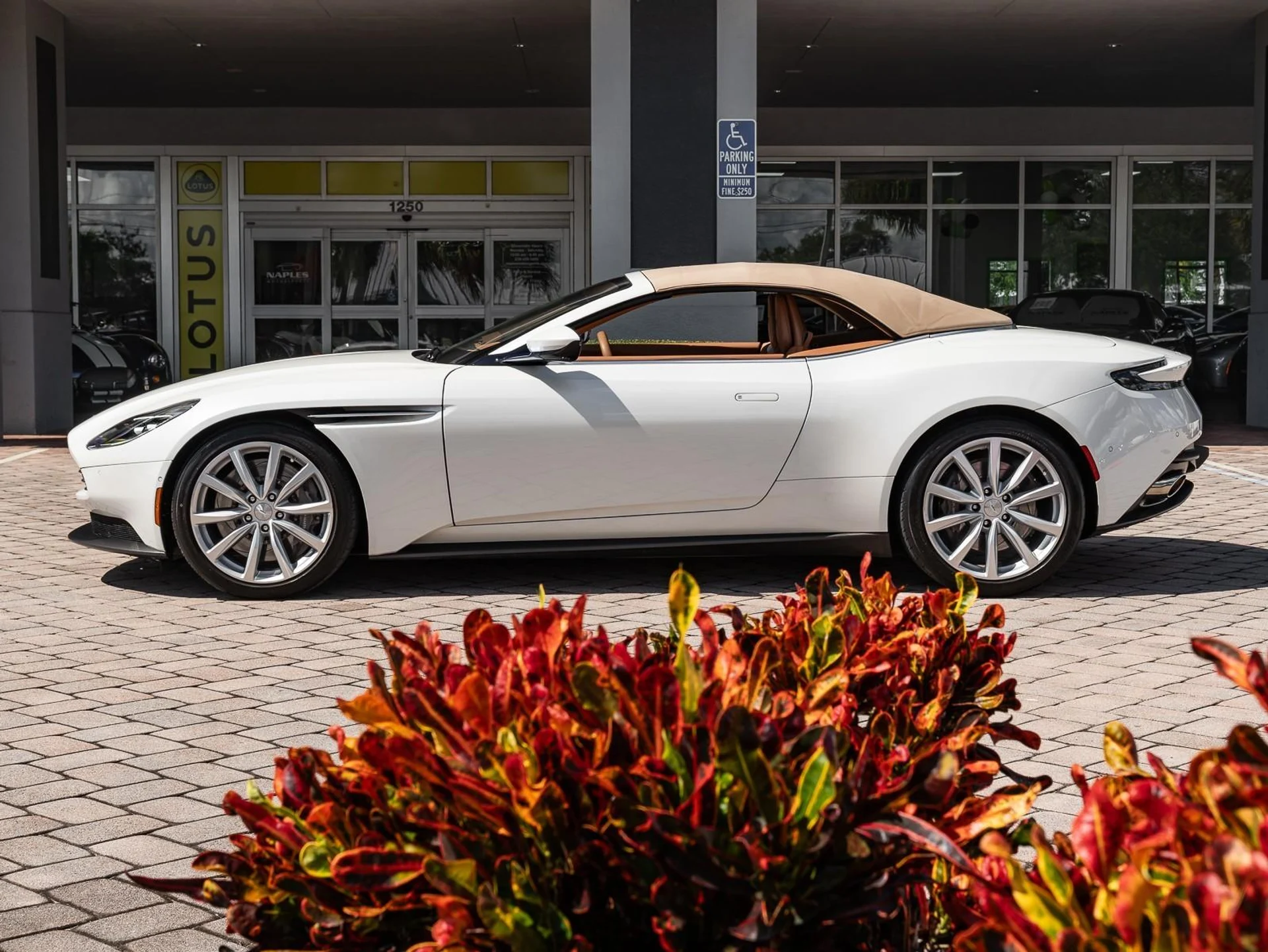 mph028_2868898904_Used_2019_Aston_Martin_DB_11_1760731543_fcb3a40e52