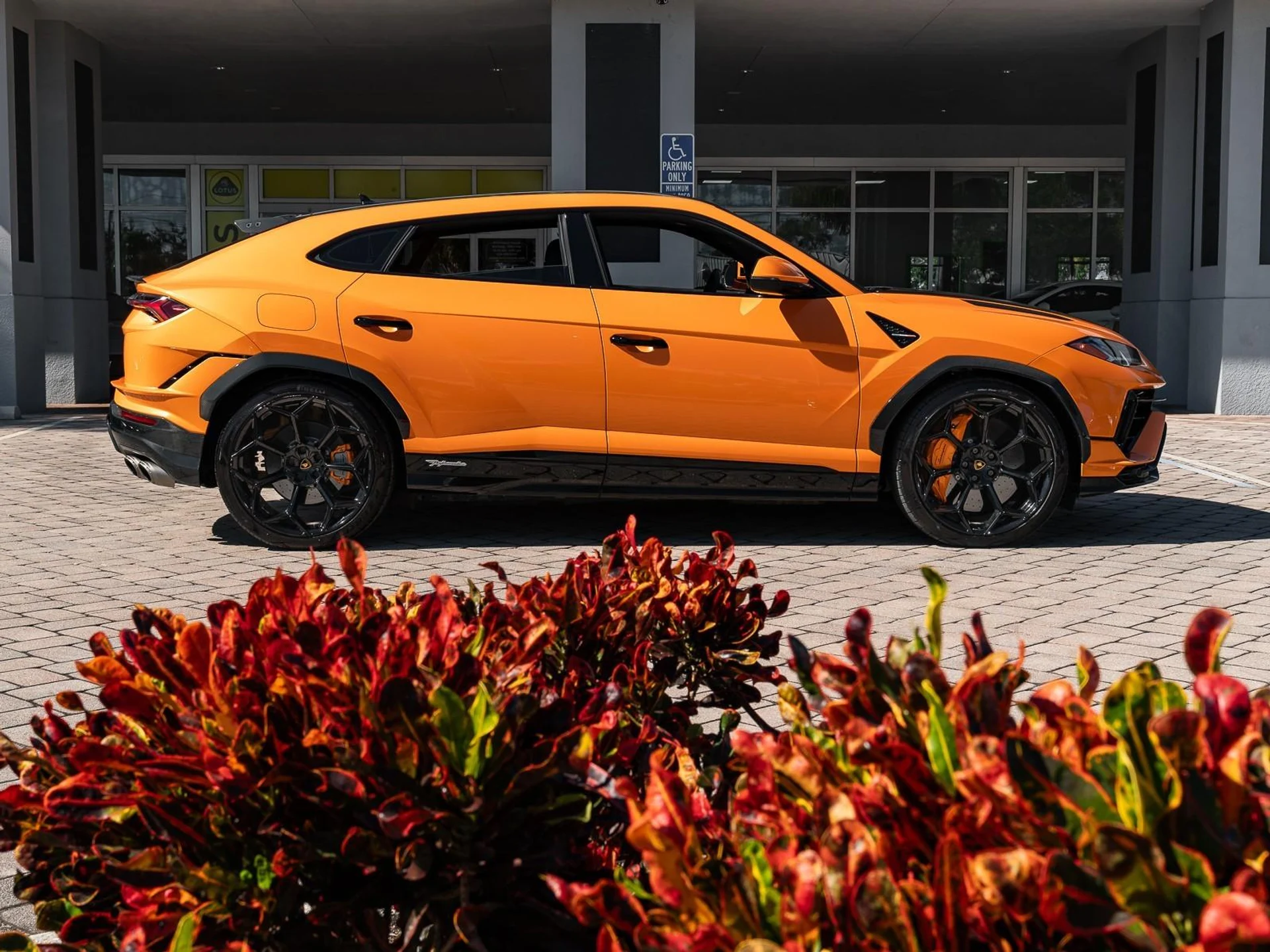 mph028_2954212527_Used_2023_Lamborghini_Urus_Performante_1763068036_a0e1141046