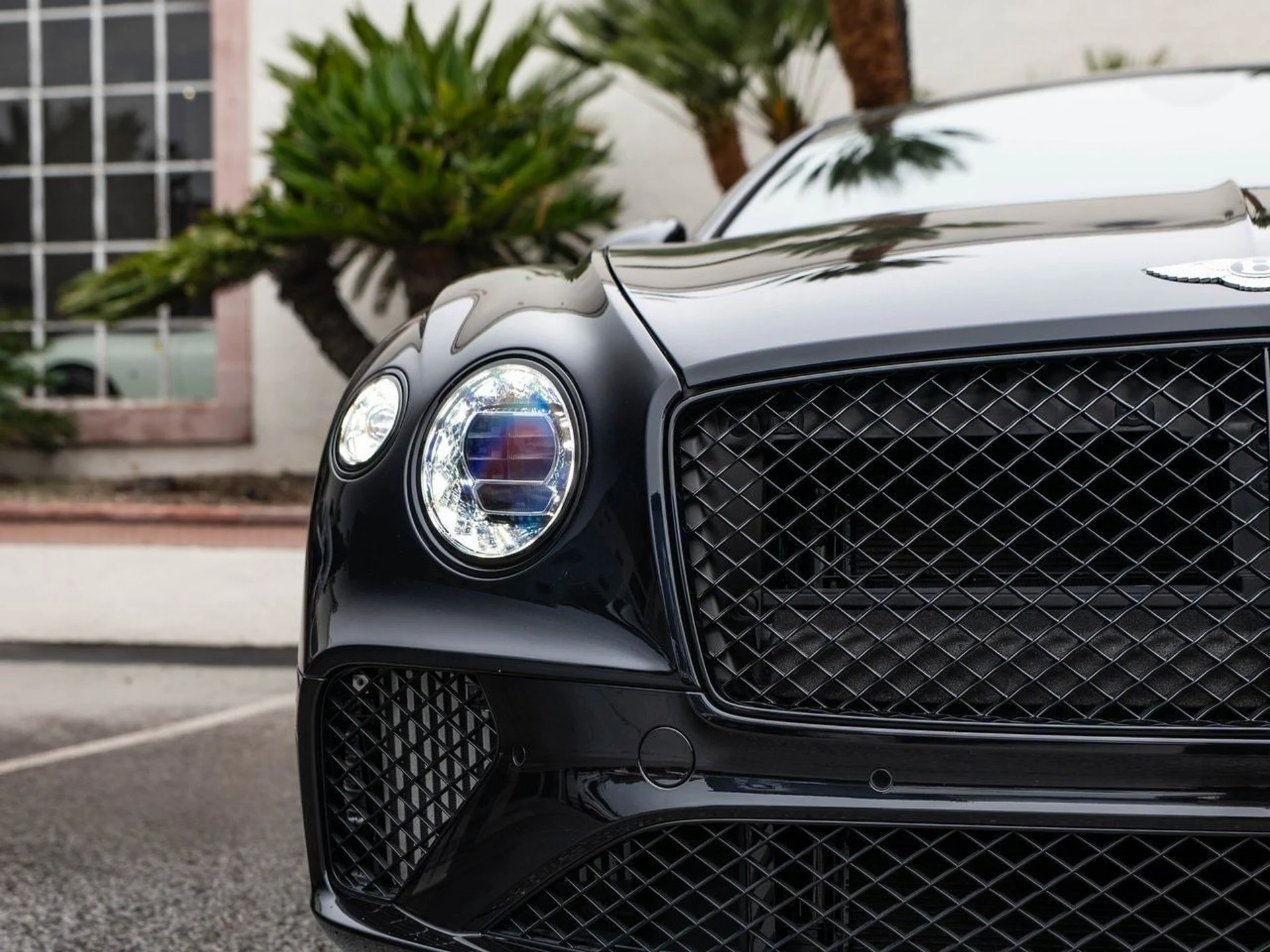 mph028_3009822646_3194bb669cf98759df9268767889ec39x_5b55120329