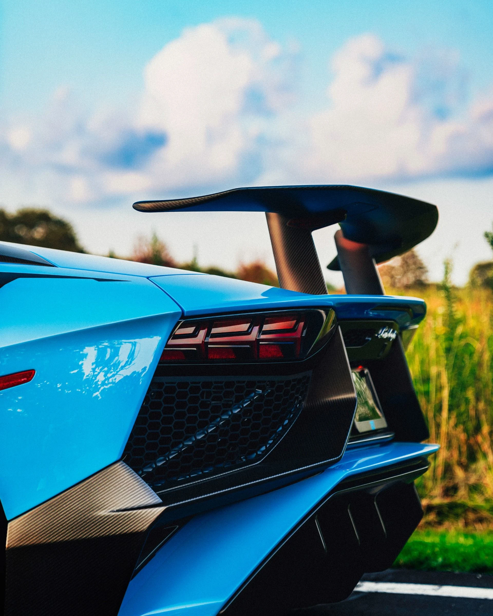 mph028_3060847454_9696_p29_l_3067799736