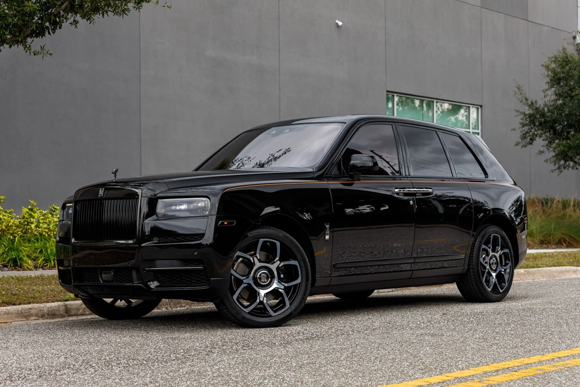 mph028_3121494964_649_p29_l_9e94787626