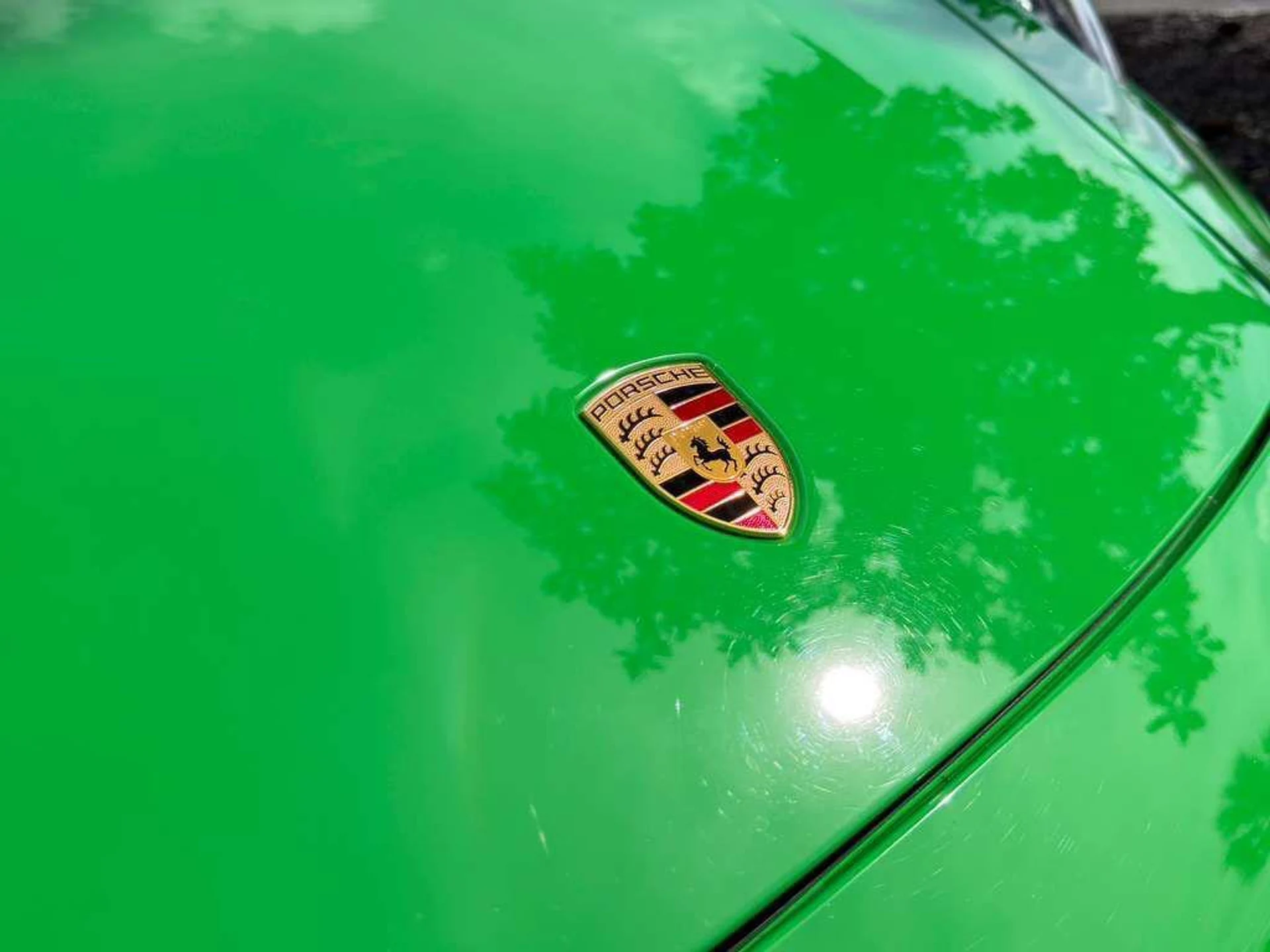 mph028_3251837017_o_MIHIX_Rzk_Vnu_Nt_T_Lcslh_FT_Yc9k_d529dd270d