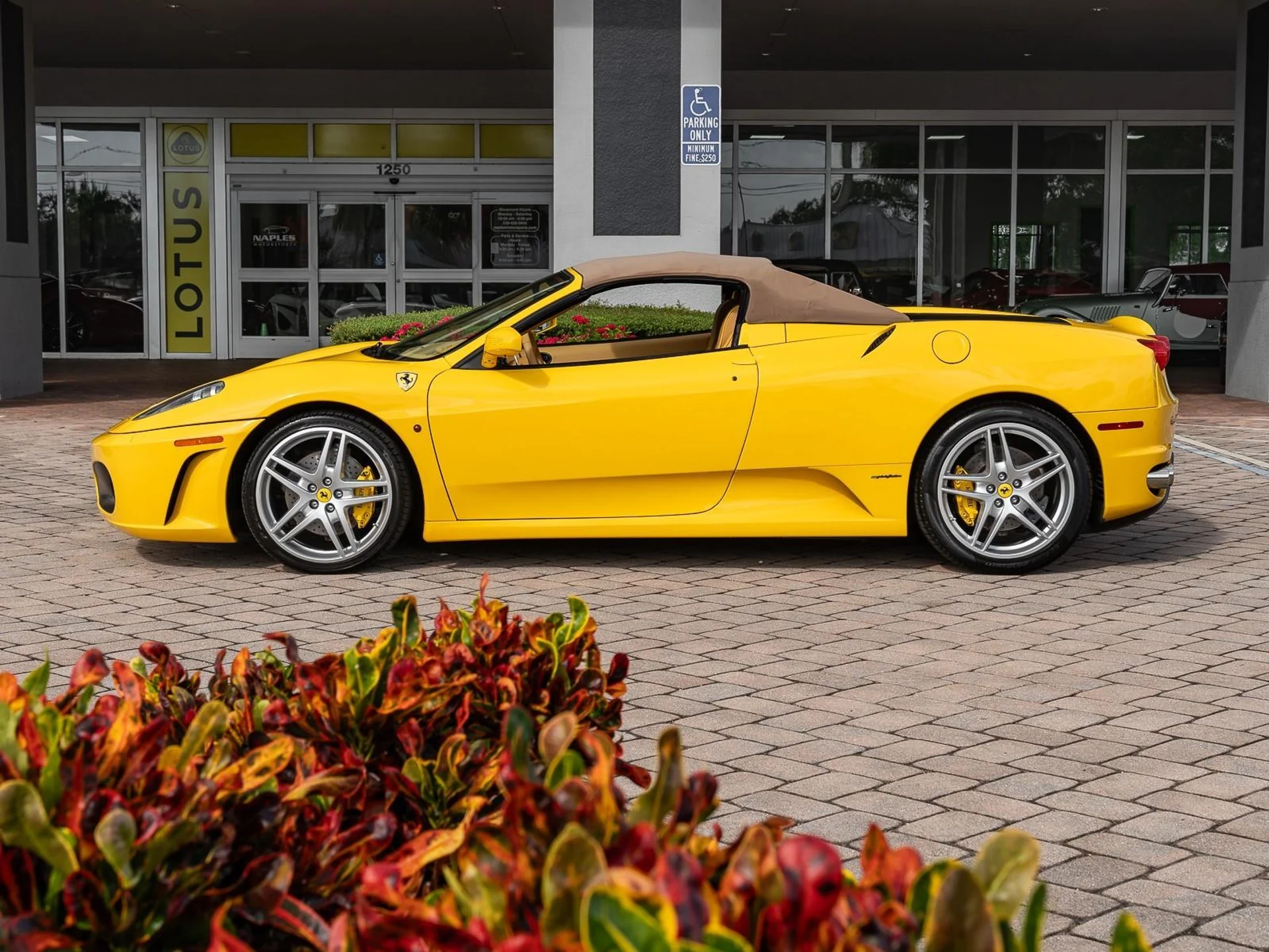 mph028_3360696706_Used_2005_Ferrari_430_Spider_1759514762_f6c5ad1f00