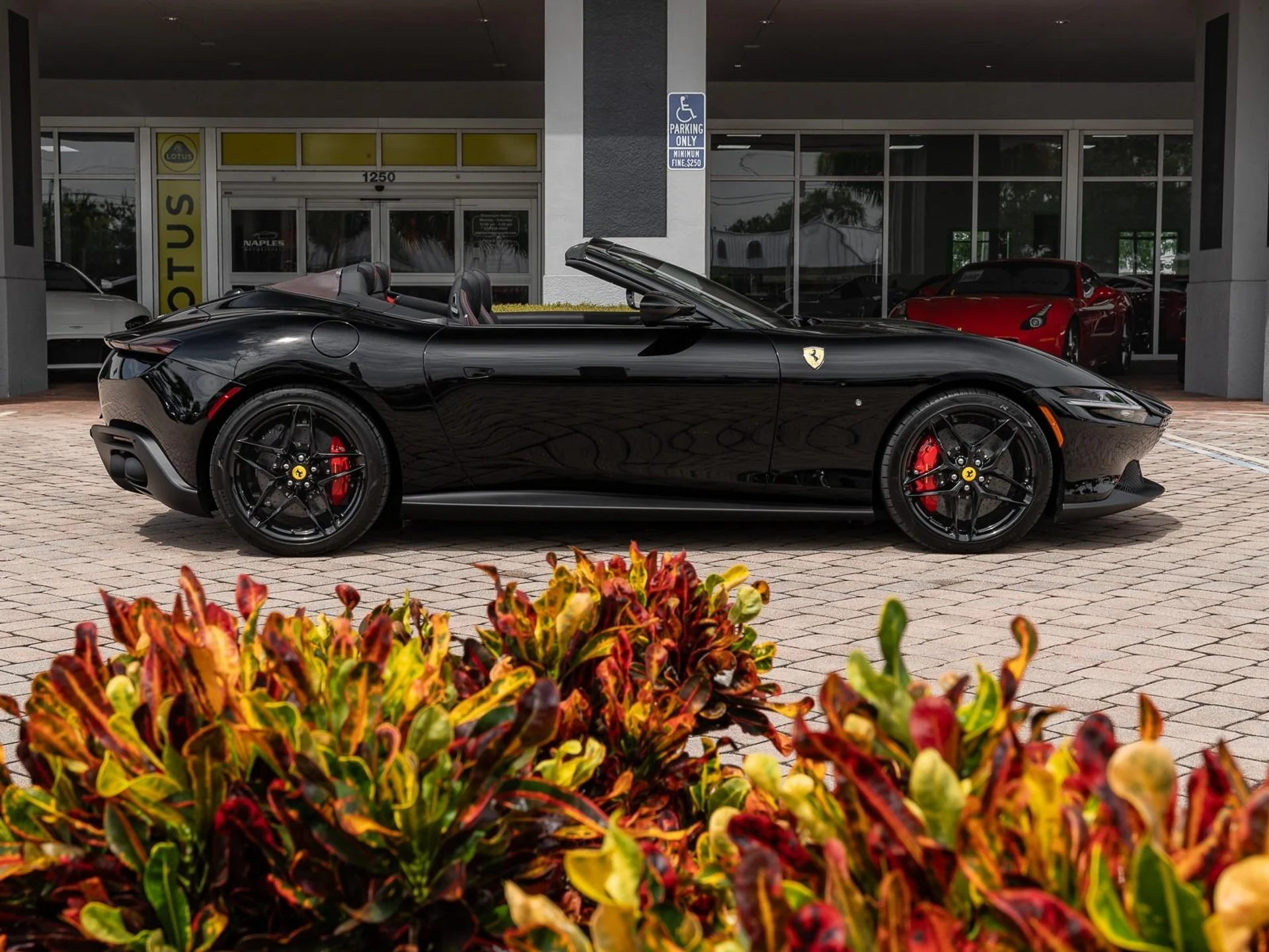 mph028_3378047448_Used_2025_Ferrari_Roma_Spider_1759774234_97345c8009