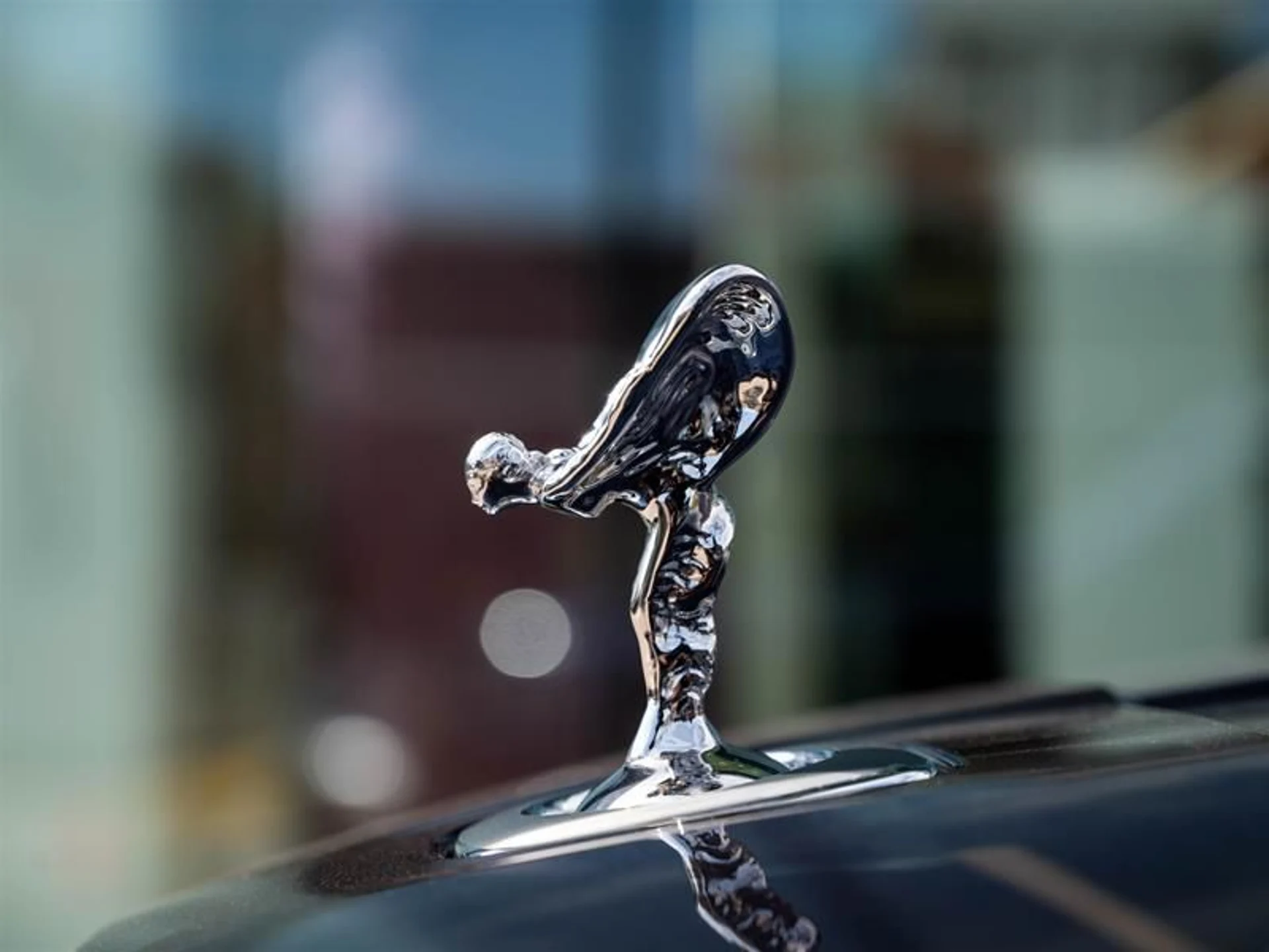 mph028_3400301556_cv4prxjy_4bd443a3e8