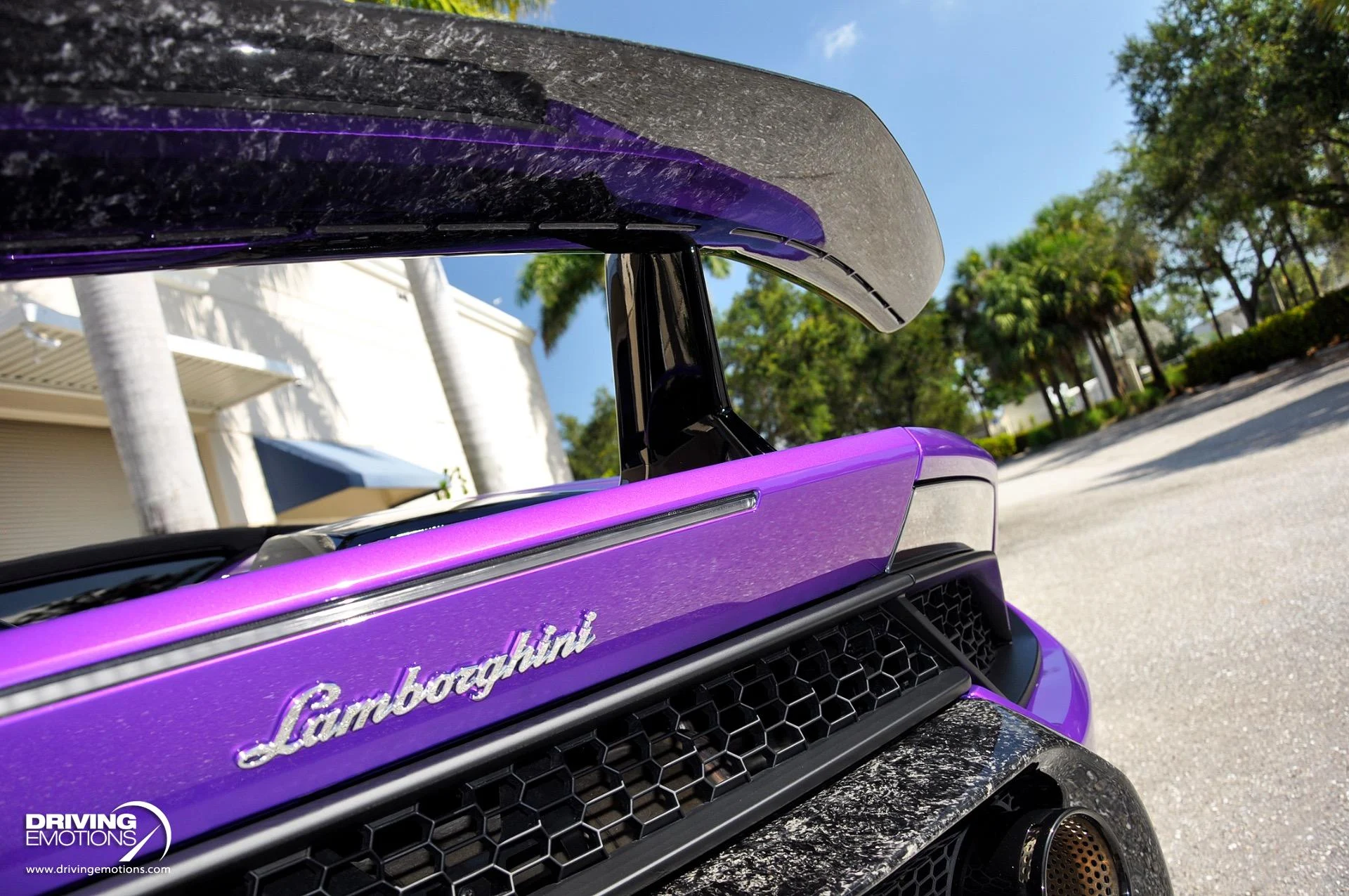 mph028_3709249129_863_p29_l_c7762defe1