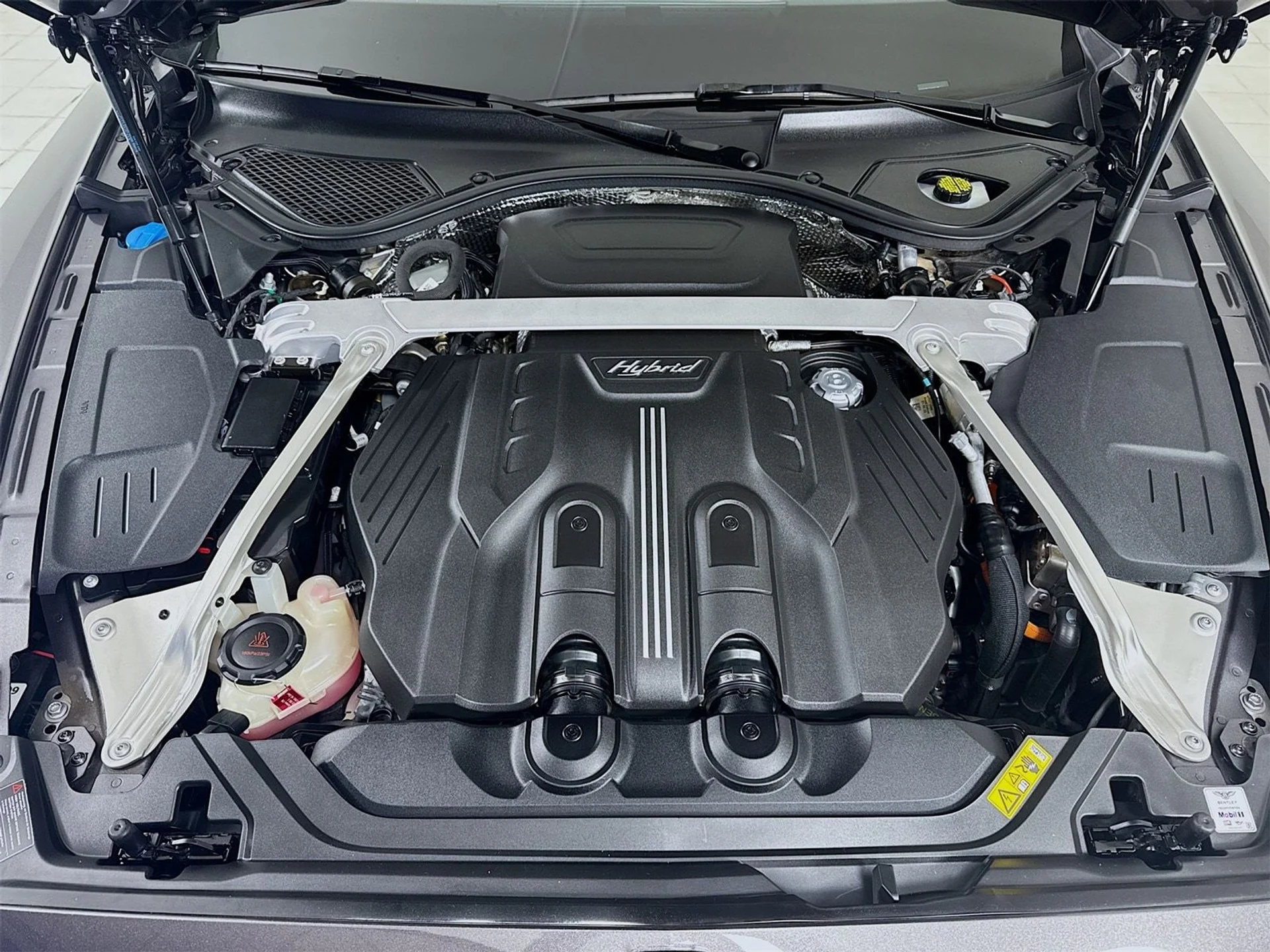 mph028_3729186483_151843a55b7c6102b9da18fe20e2e519x_9bba5abbfb