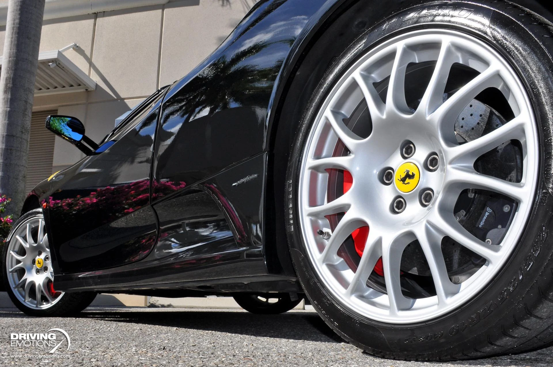 mph028_3810946695_885_p29_l_09a4b4ca3a