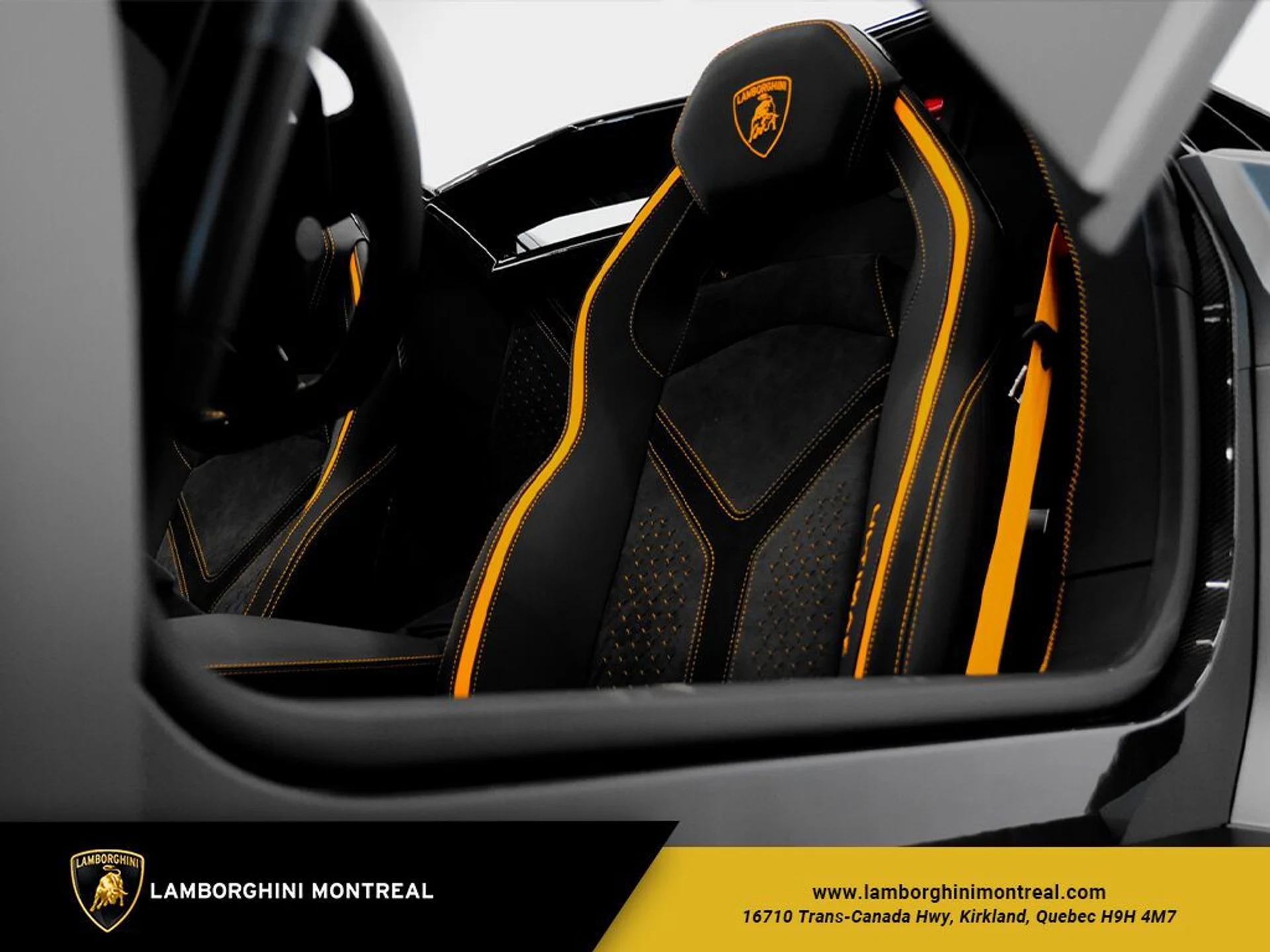 mph028_3894460532_646fa7985b6ed2_36683287_jpg_v_1773863535_a2d1ec1333