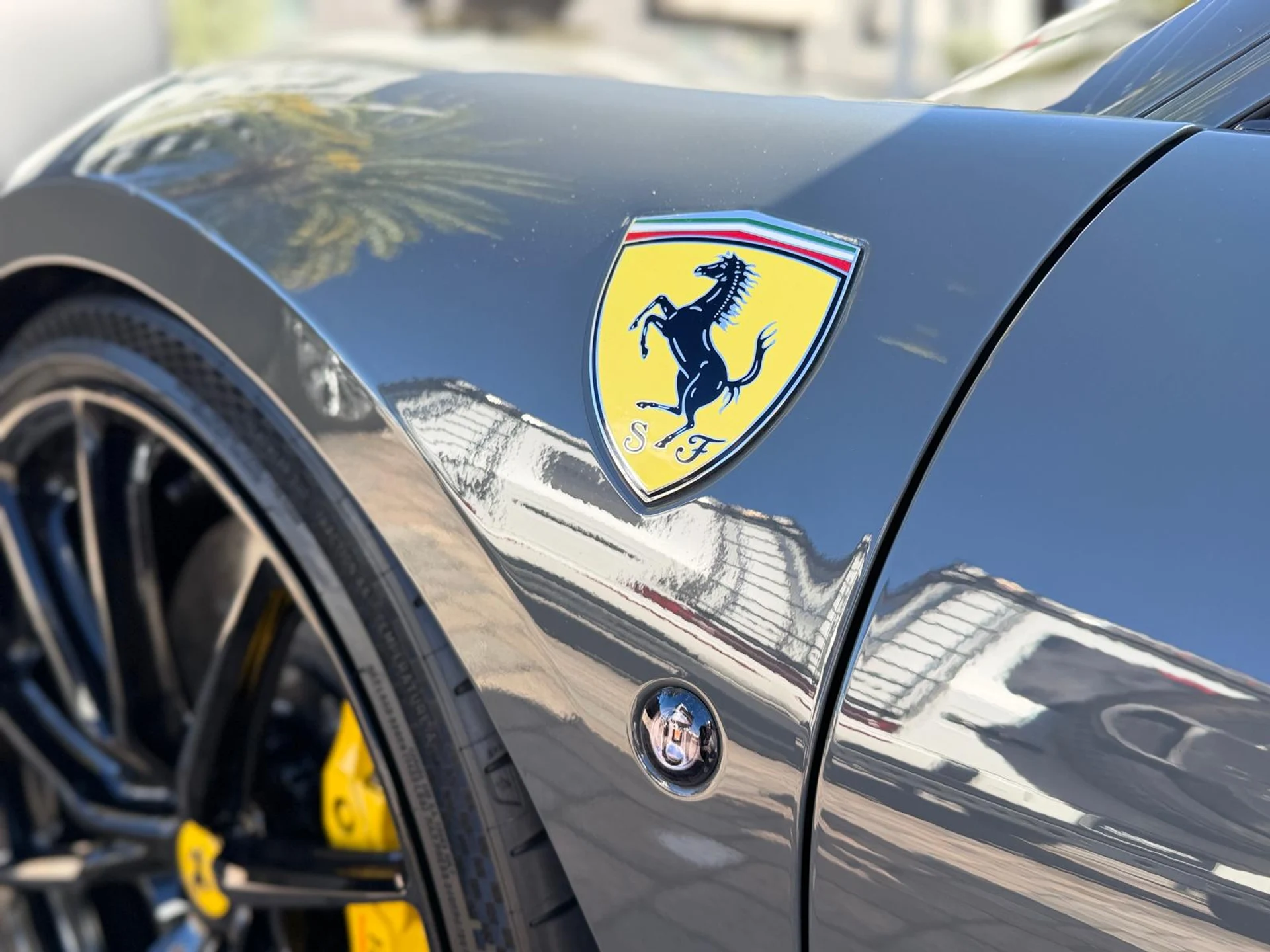 mph028_3939325972_Whats_App_Image_2026_01_16_at_4_24_23_PM_22_9b71316753