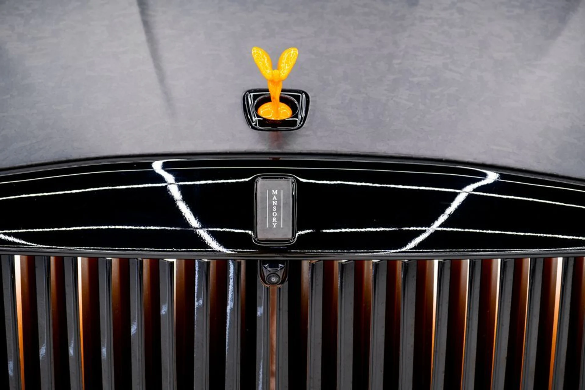 mph028_3976940409_9bfc153ea5f6df8c15a21384ec14578f_319106944b