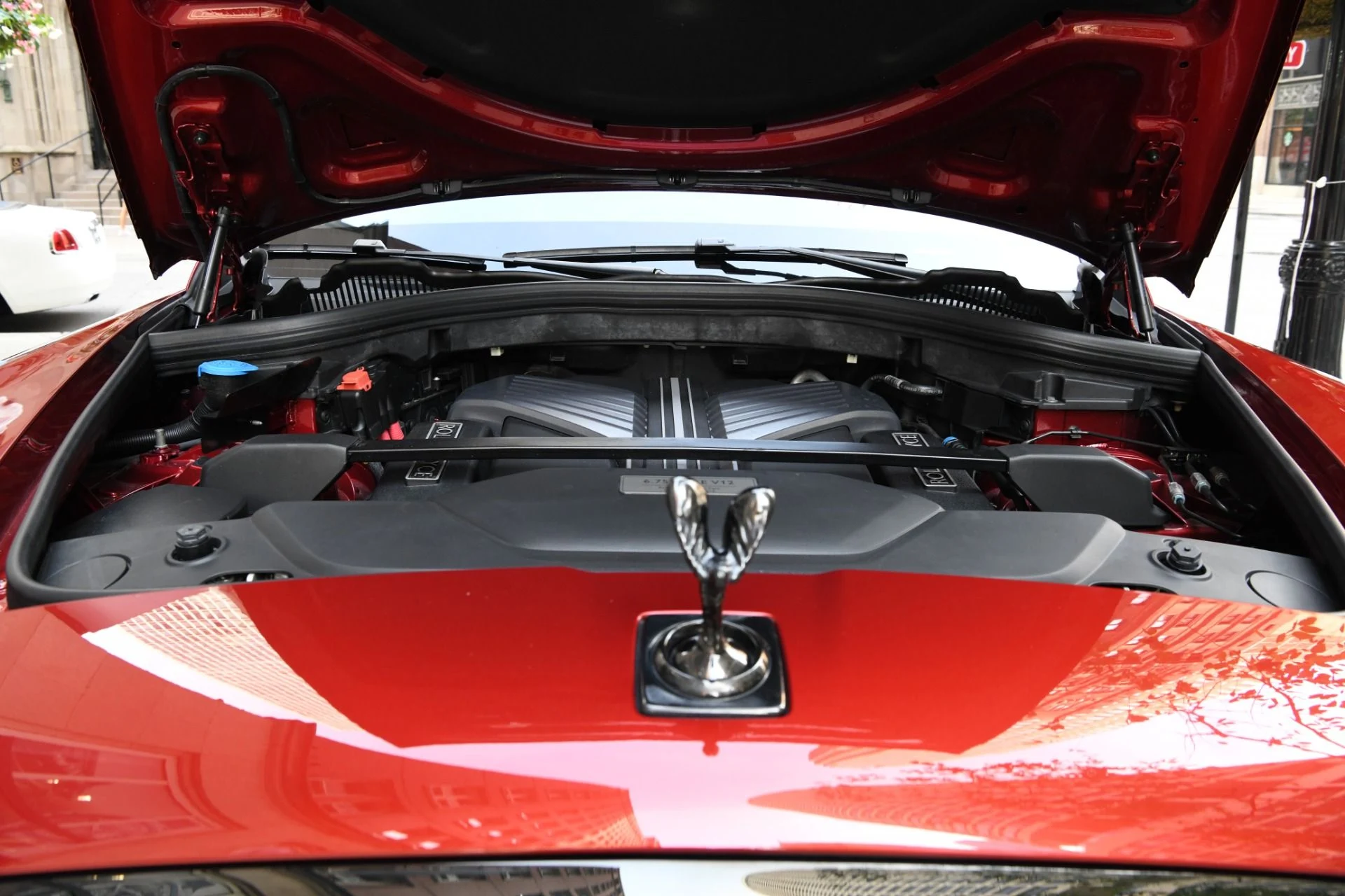 mph028_3995882898_11948_p30_l_6b9be63168