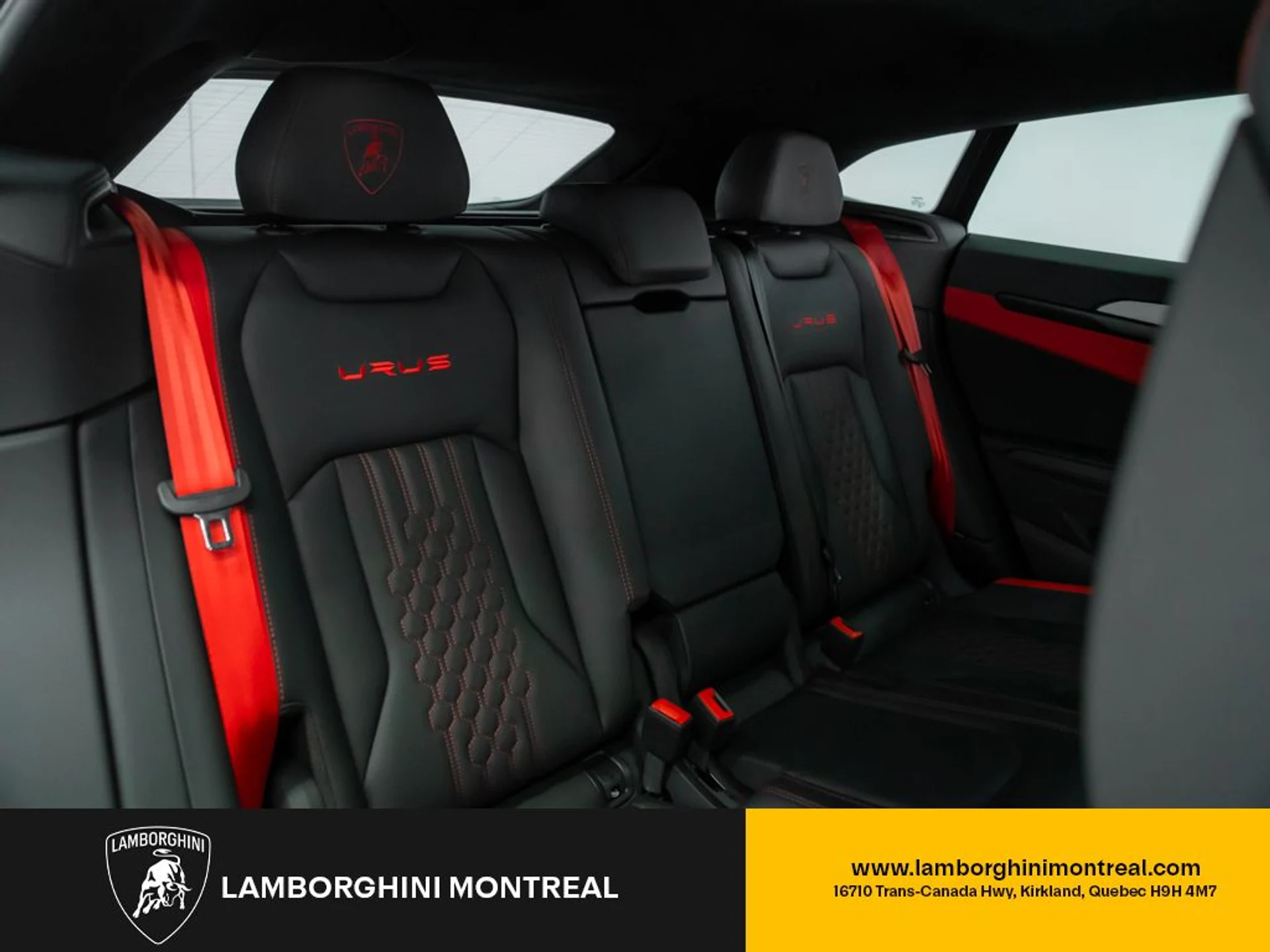 mph028_4043900643_jpg_v_1773863535_b3a8cfbcb3