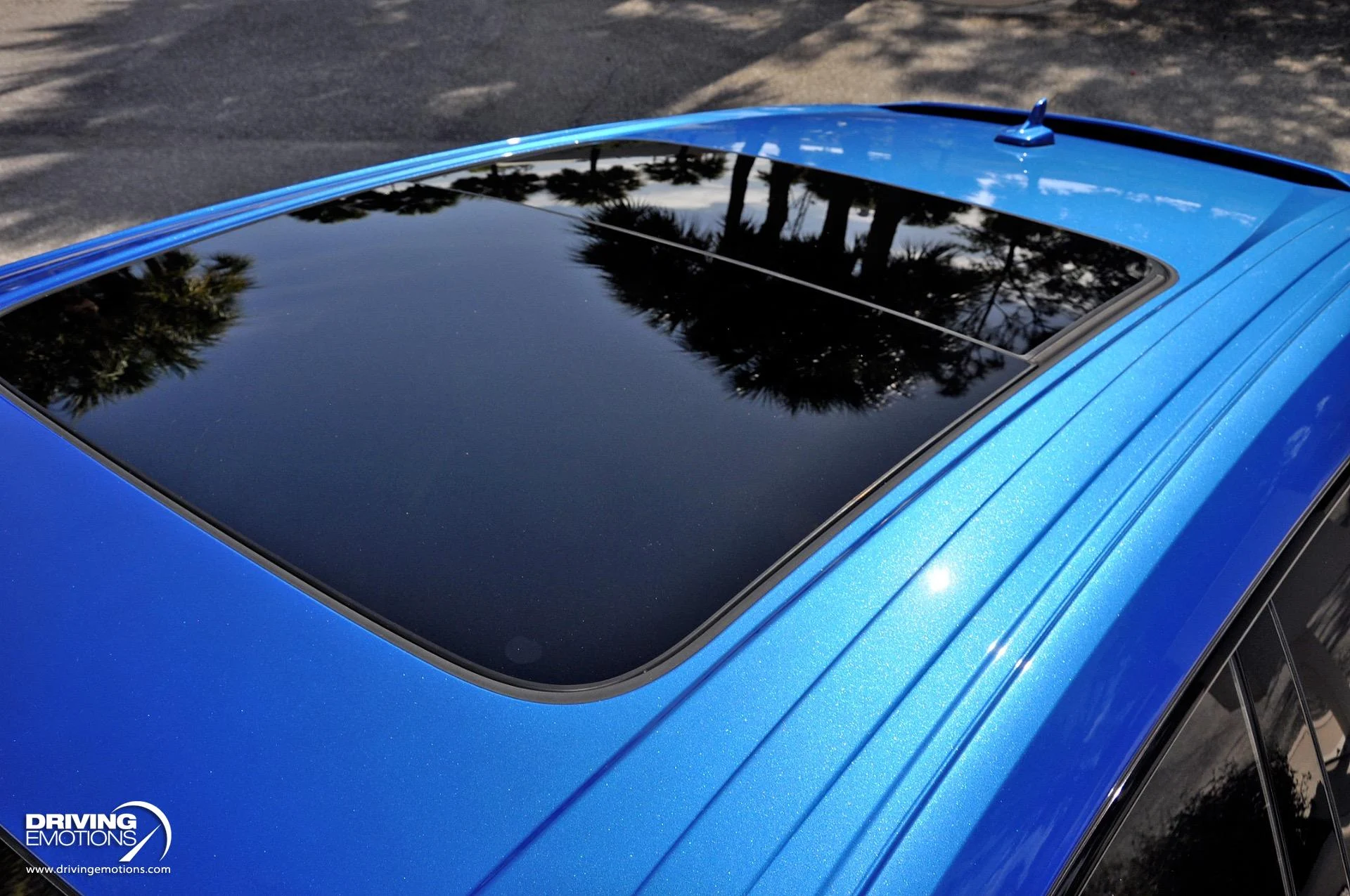 mph028_4228887802_801_p29_l_6e64794662