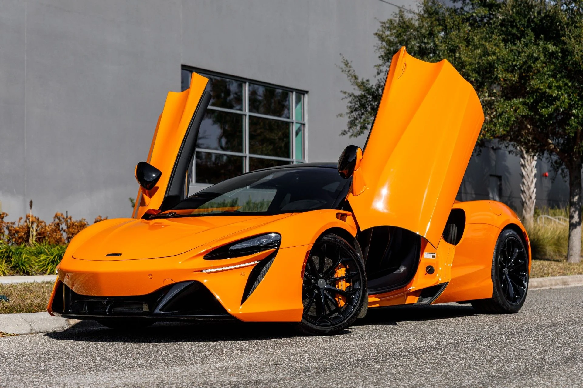 mph028_4244414618_653_p29_l_185cb45aad
